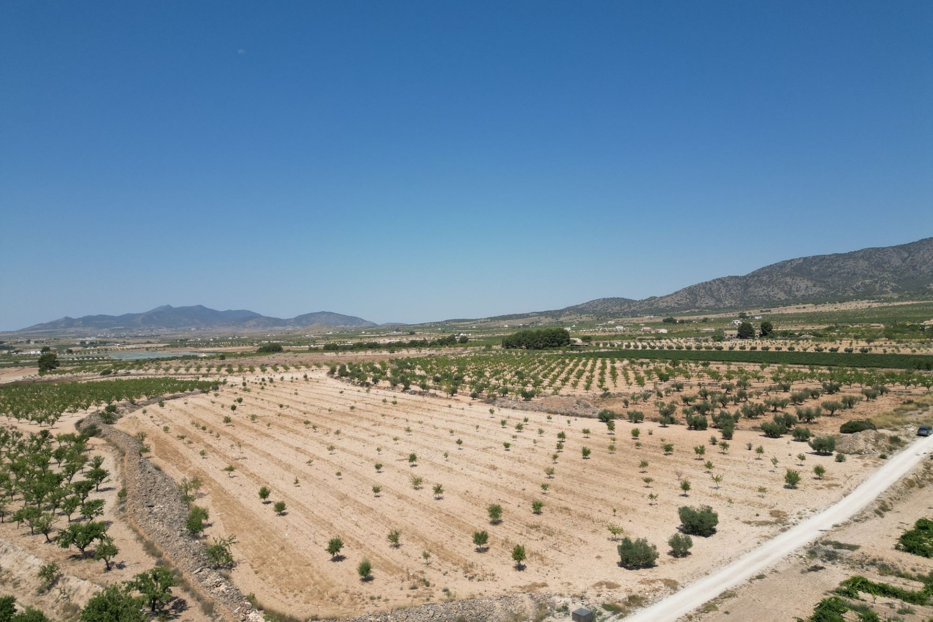 Revente - Parcelle / Terrain -
Pinoso