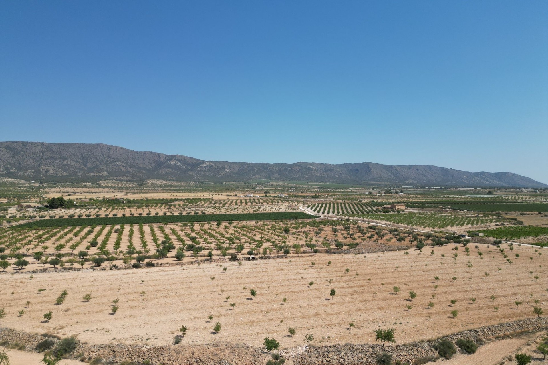 Revente - Parcelle / Terrain -
Pinoso