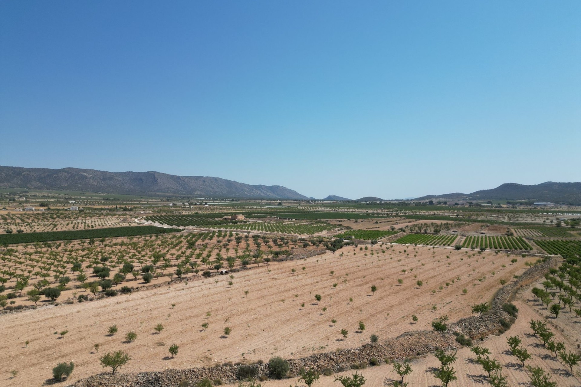 Revente - Parcelle / Terrain -
Pinoso
