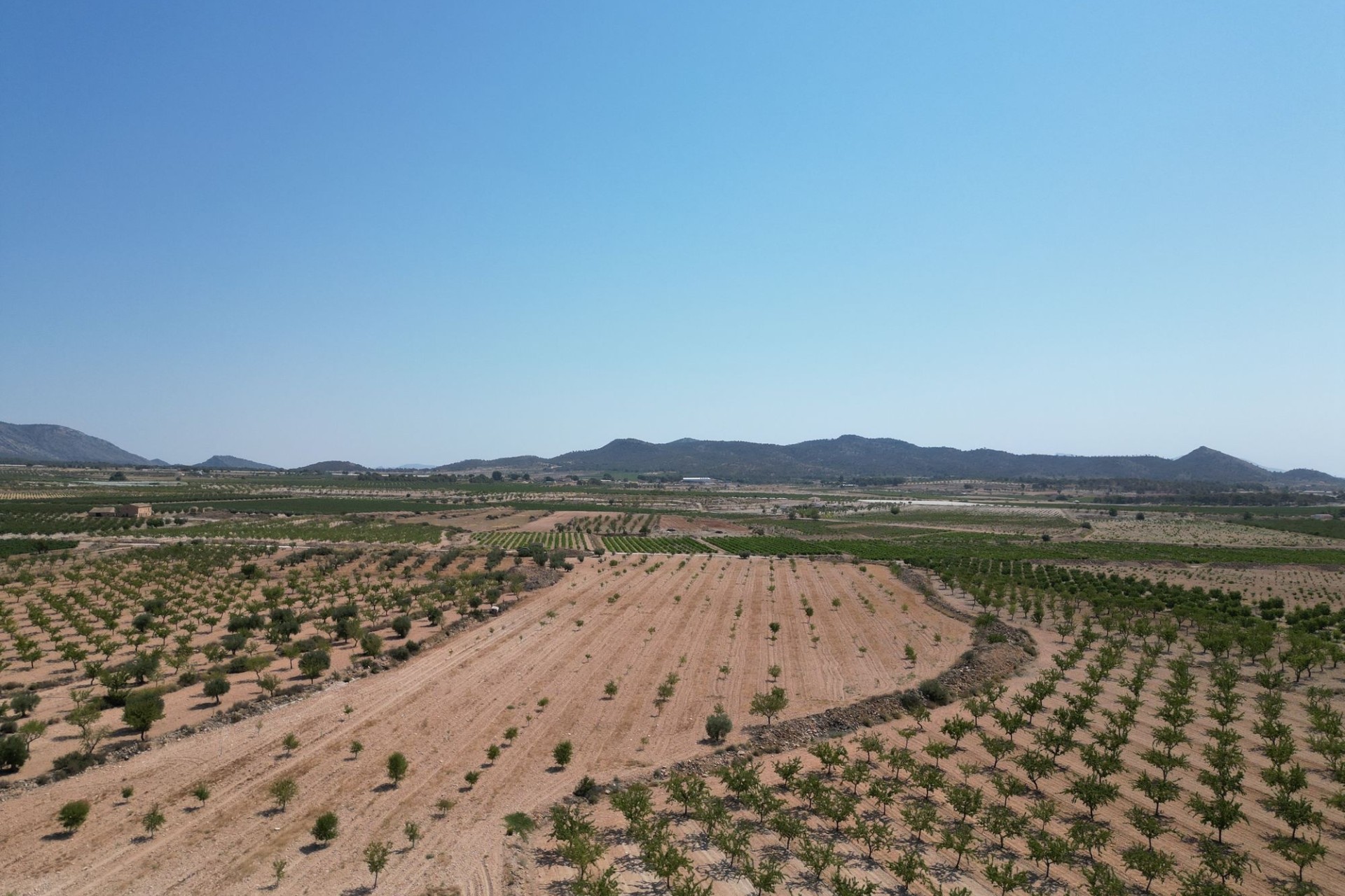 Revente - Parcelle / Terrain -
Pinoso