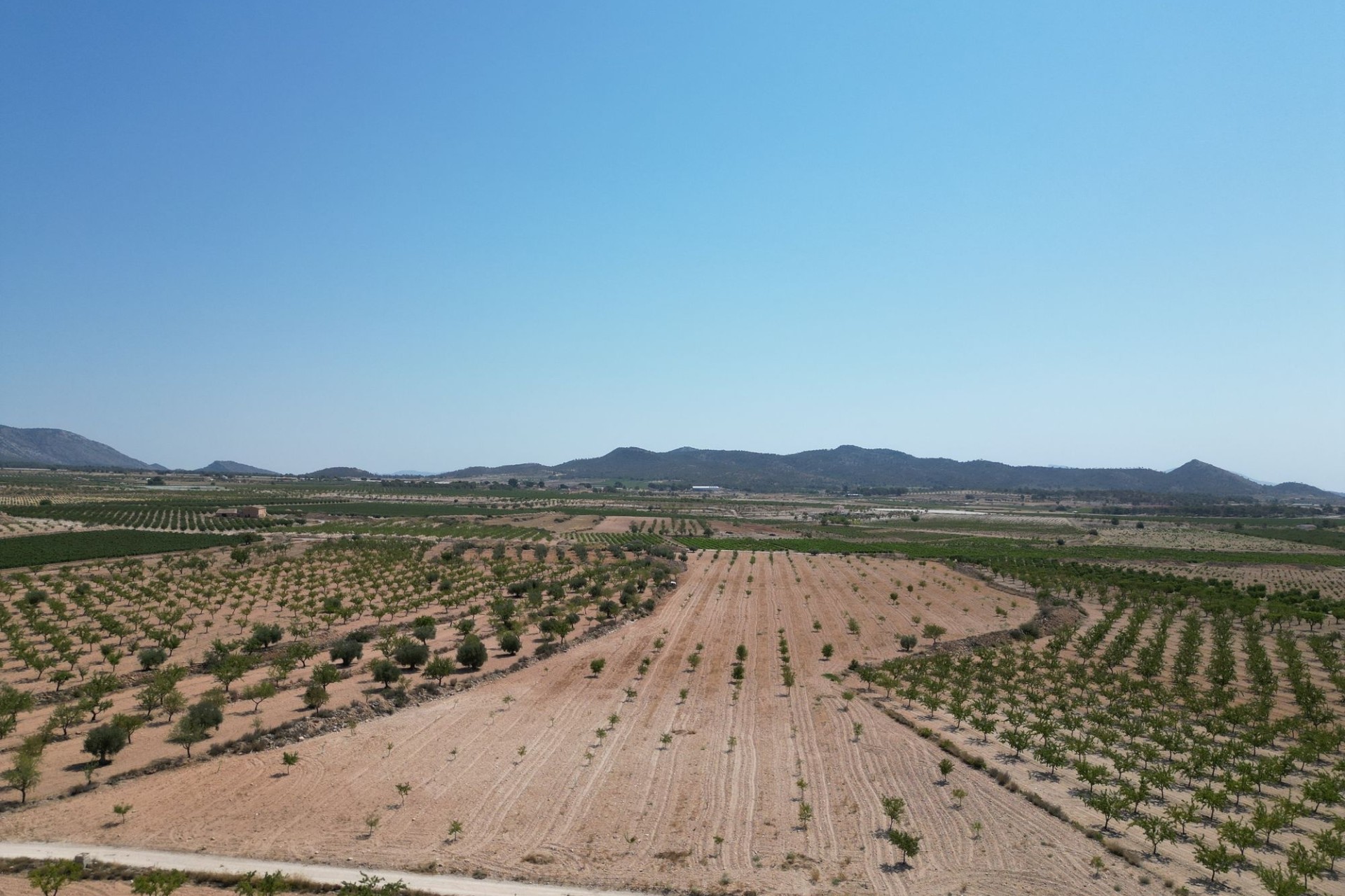 Revente - Parcelle / Terrain -
Pinoso