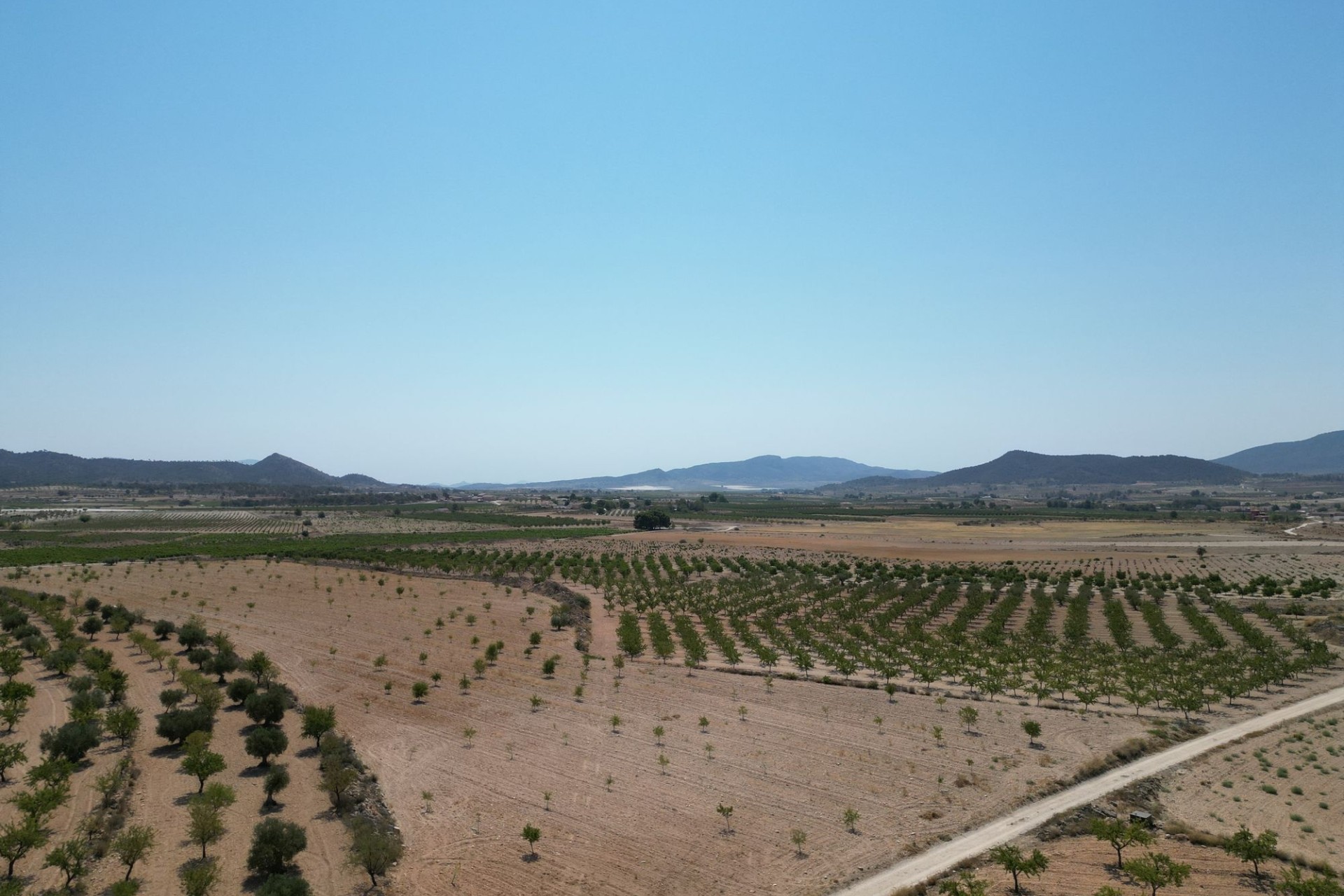Revente - Parcelle / Terrain -
Pinoso