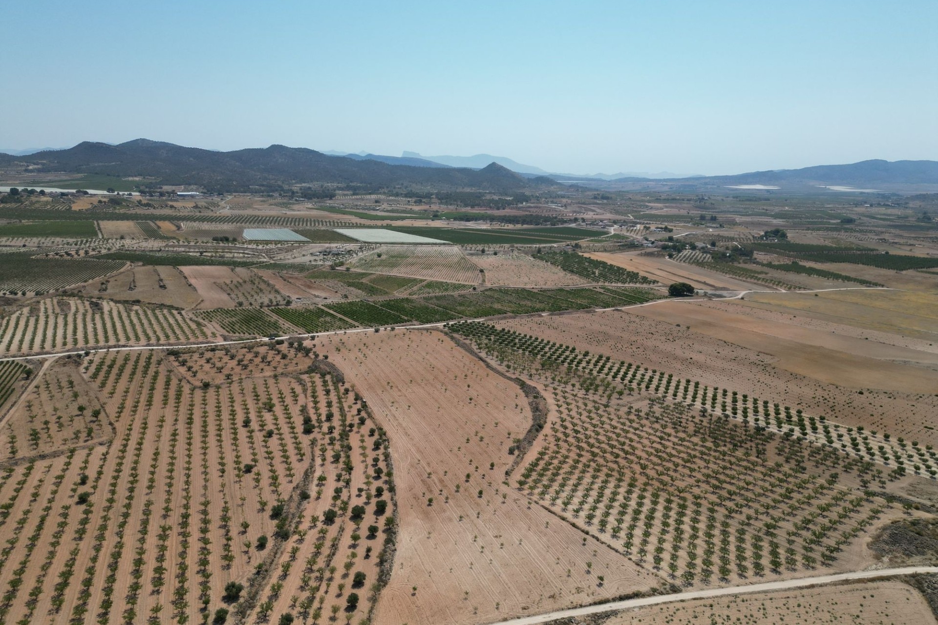 Revente - Parcelle / Terrain -
Pinoso