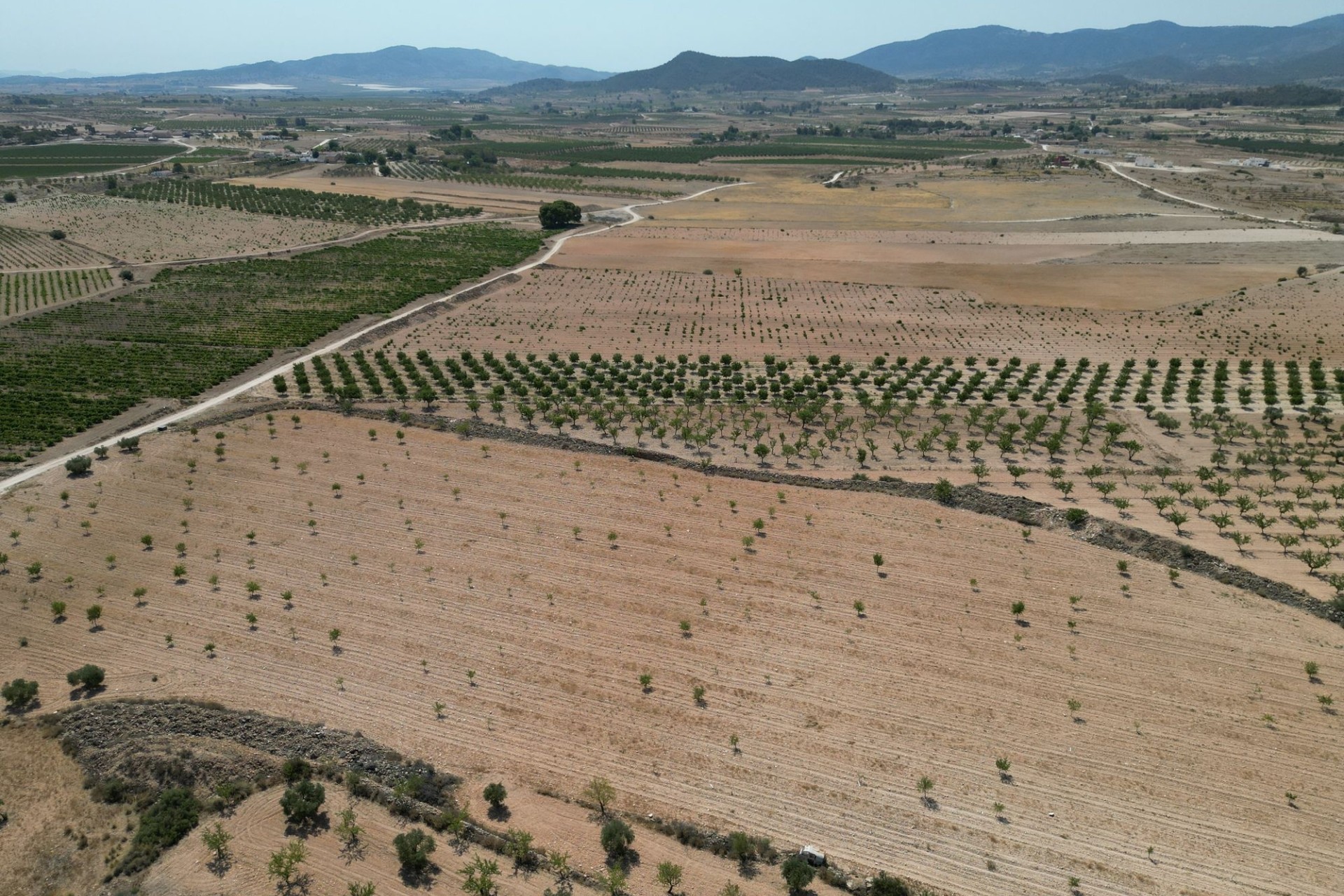 Revente - Parcelle / Terrain -
Pinoso