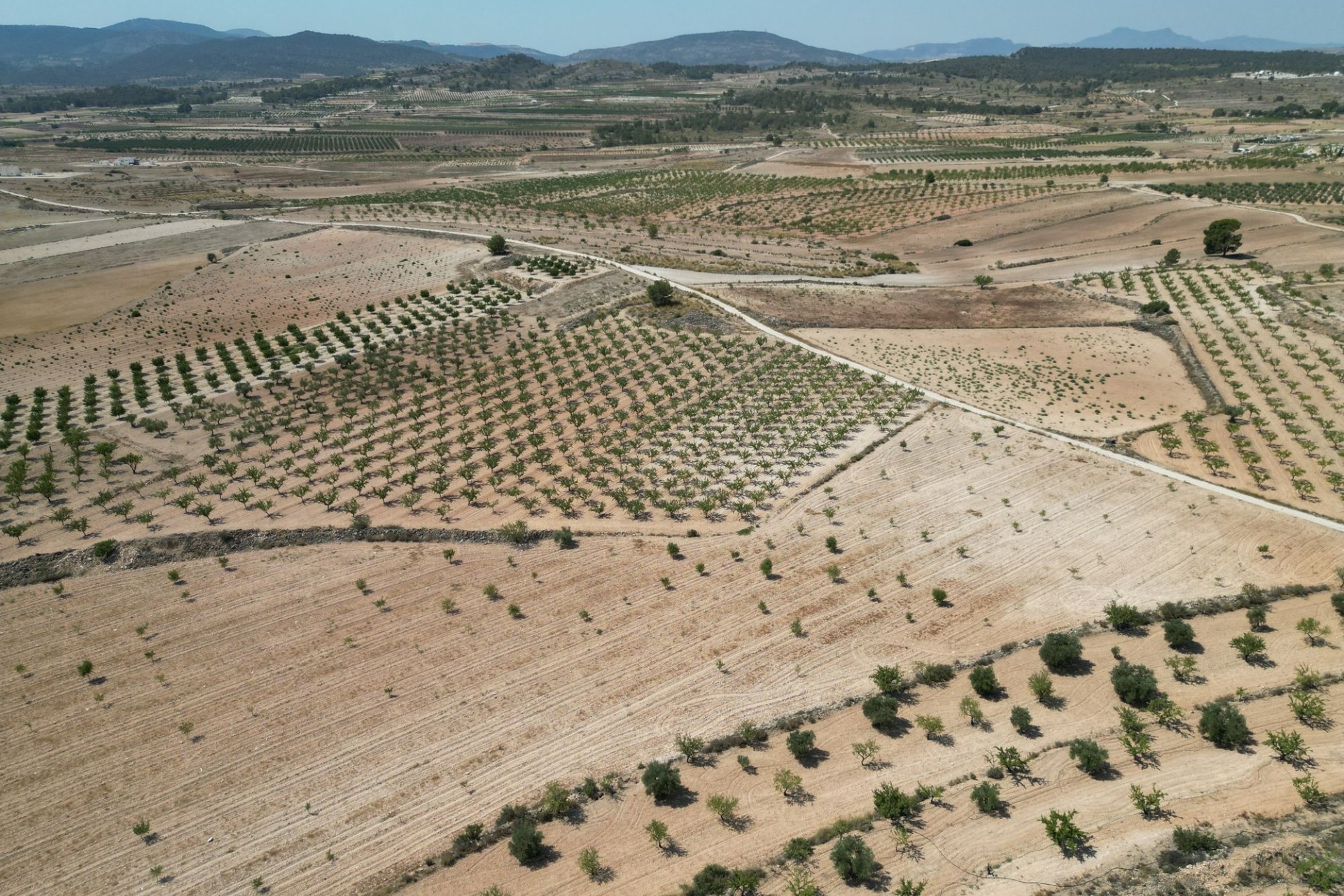 Revente - Parcelle / Terrain -
Pinoso