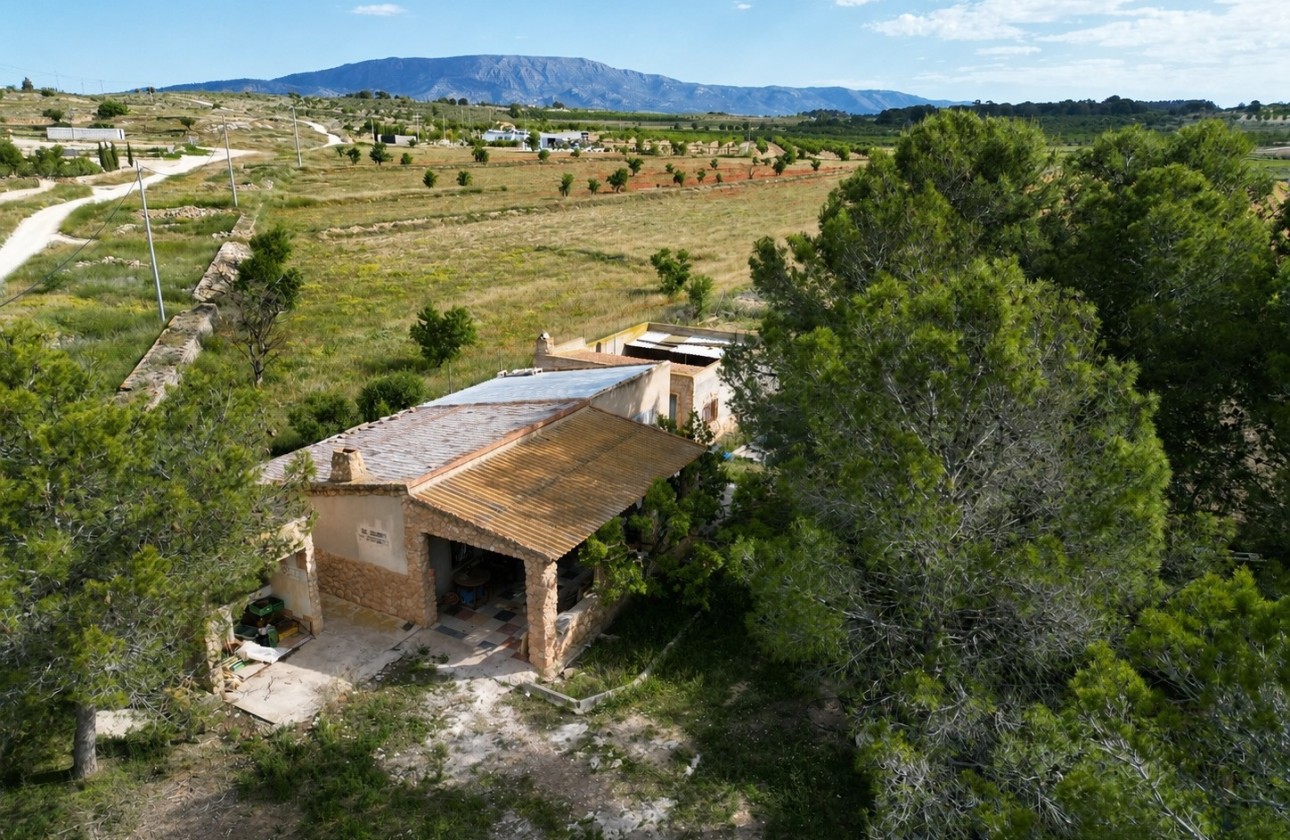 Revente - Parcelle / Terrain -
Pinoso