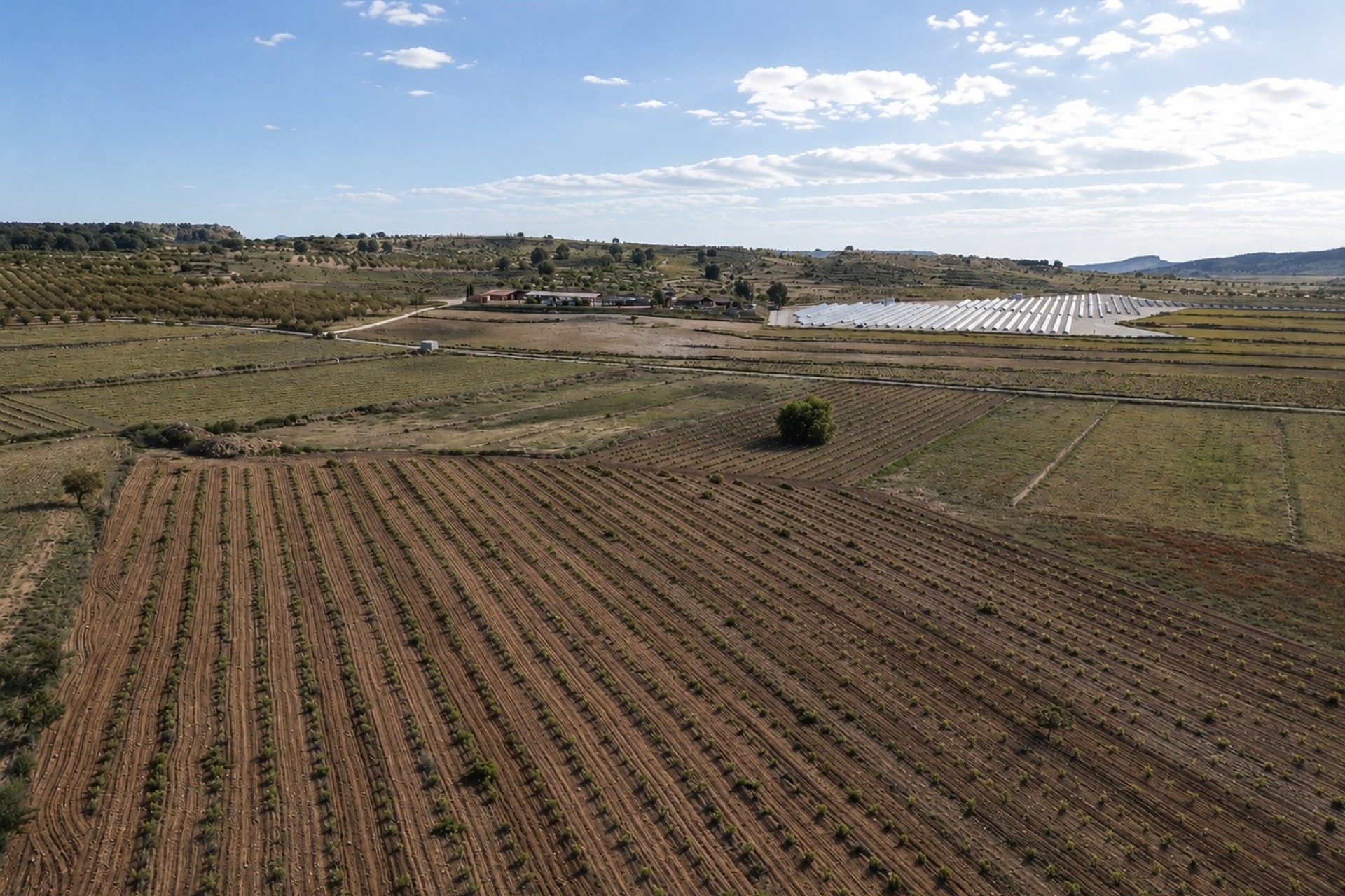 Revente - Parcelle / Terrain -
Pinoso