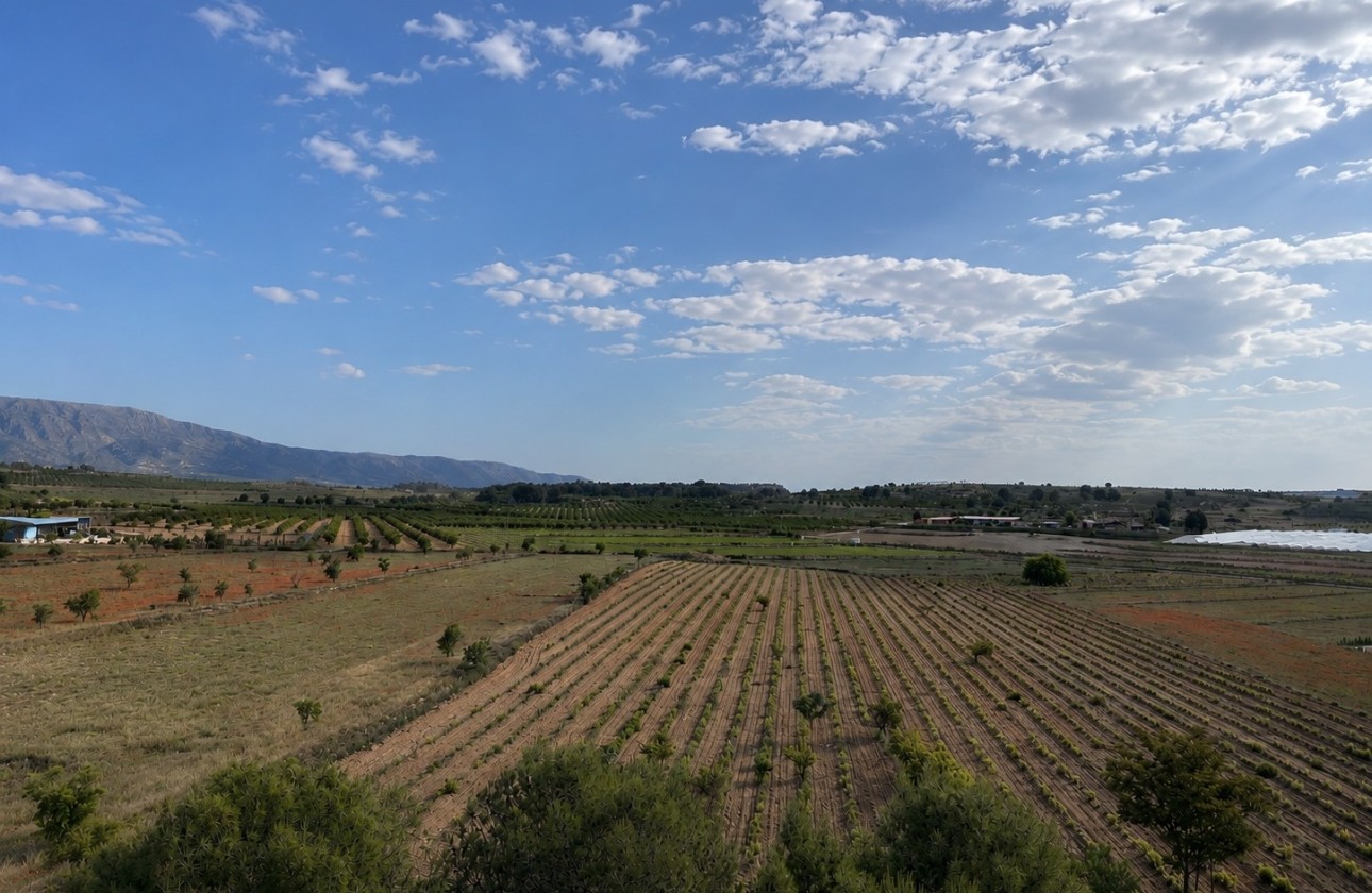 Revente - Parcelle / Terrain -
Pinoso