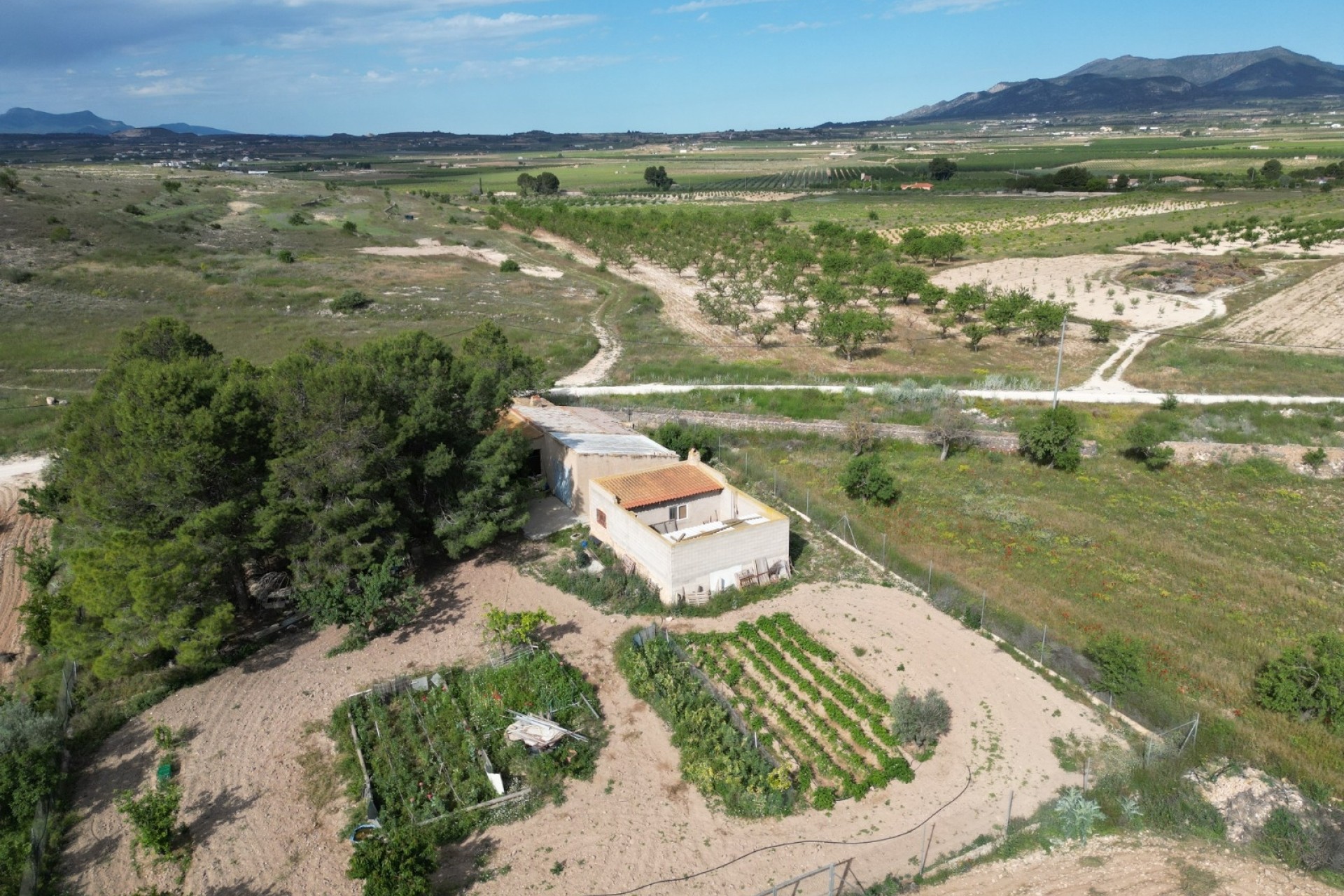 Revente - Parcelle / Terrain -
Pinoso