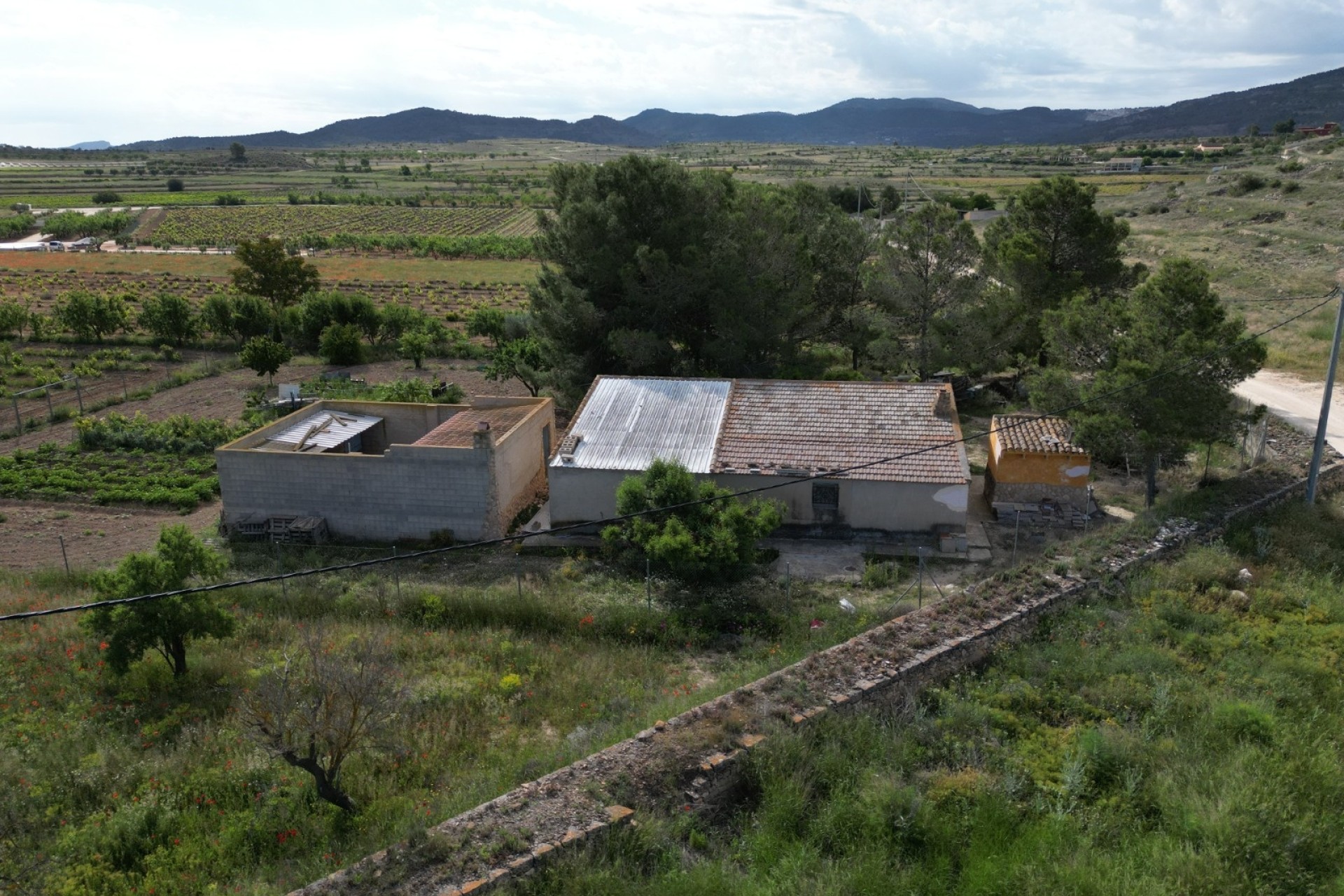 Revente - Parcelle / Terrain -
Pinoso