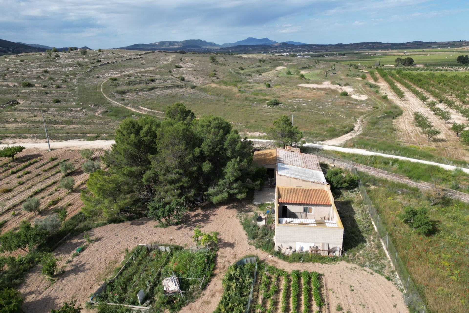 Revente - Parcelle / Terrain -
Pinoso