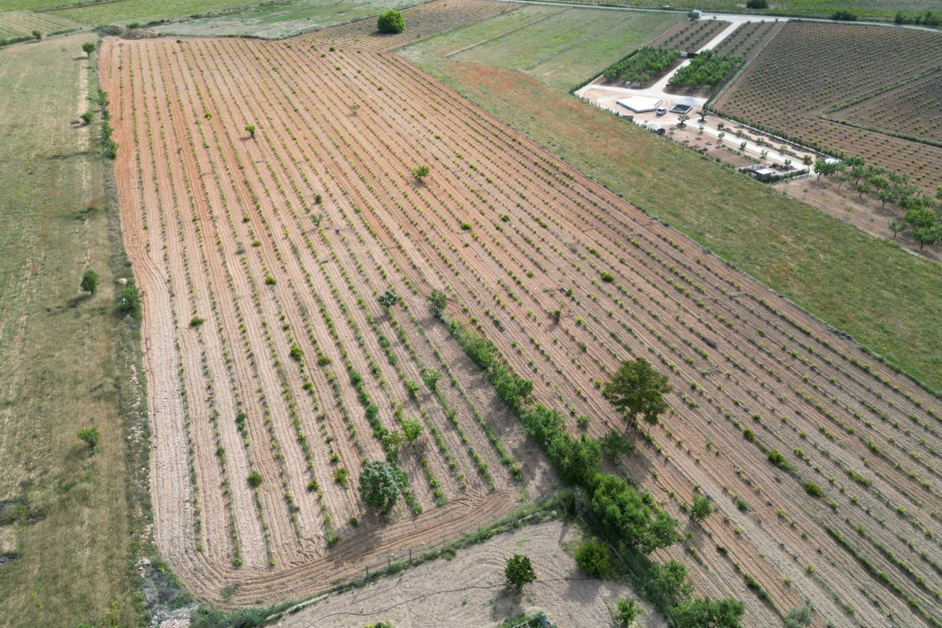 Revente - Parcelle / Terrain -
Pinoso