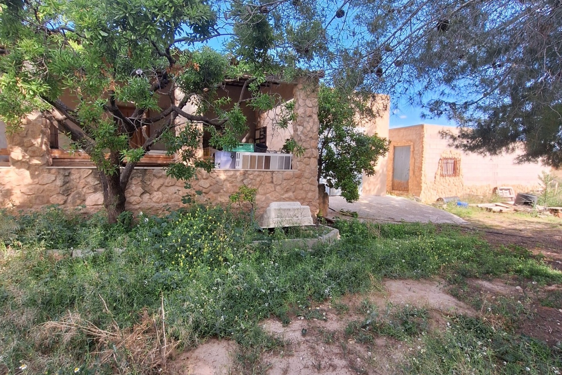 Revente - Parcelle / Terrain -
Pinoso