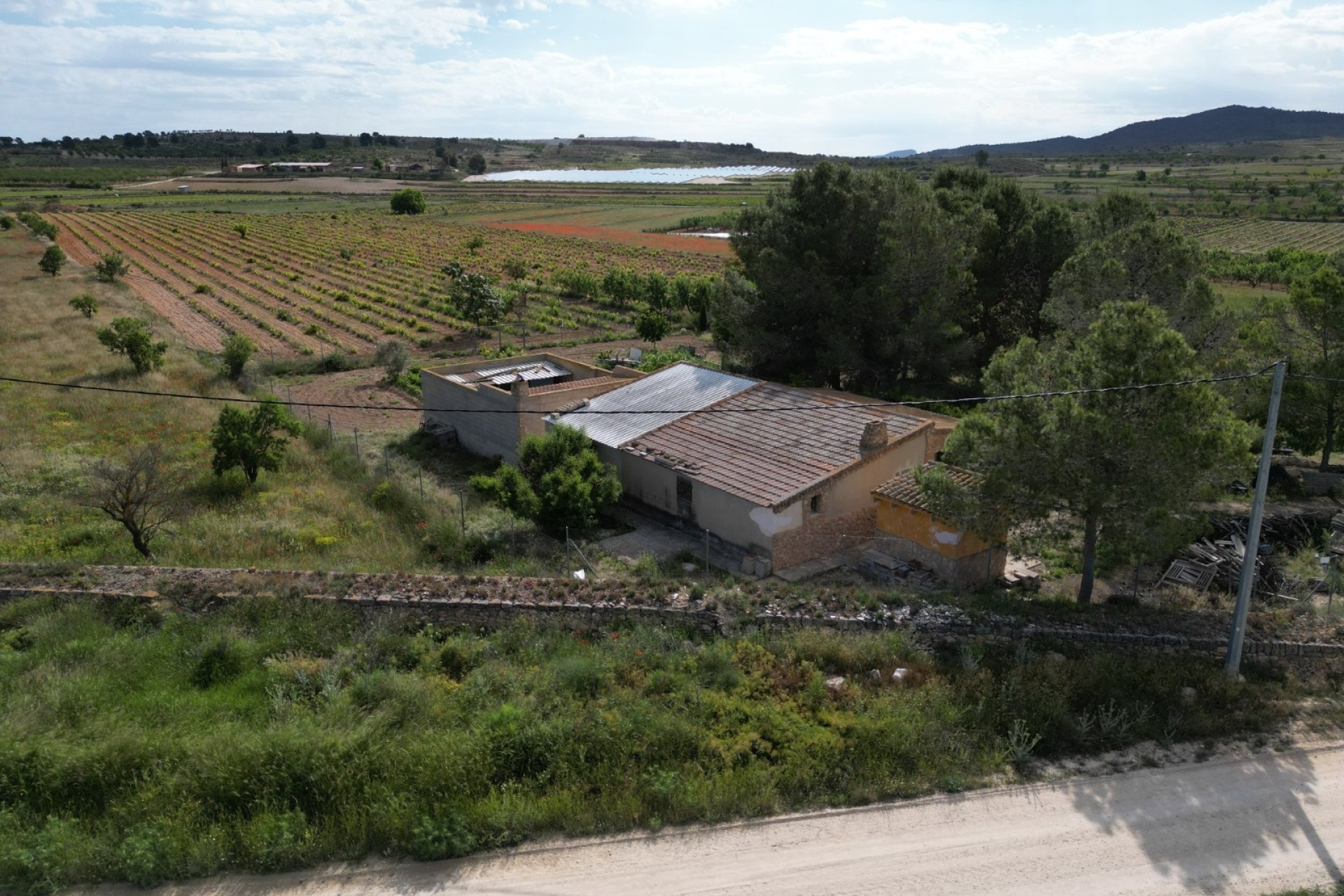 Revente - Parcelle / Terrain -
Pinoso