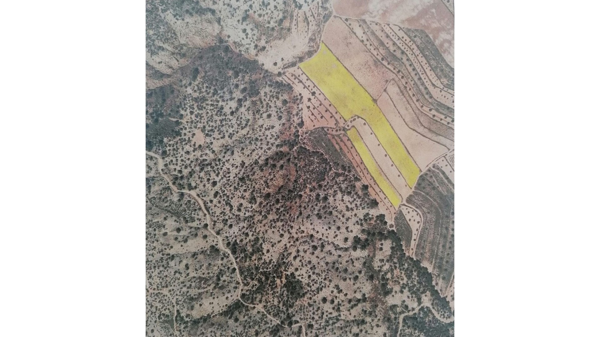 Revente - Parcelle Terrain -
Pinoso