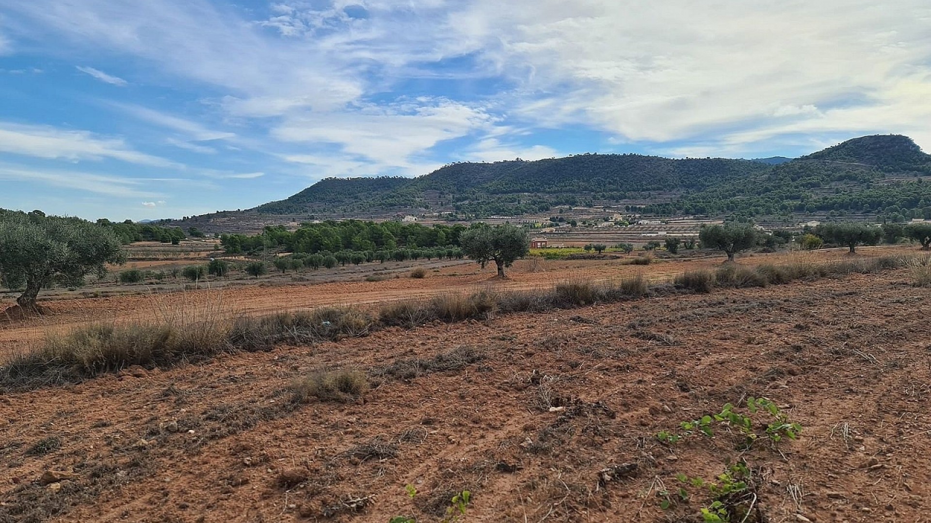 Revente - Parcelle Terrain -
Pinoso