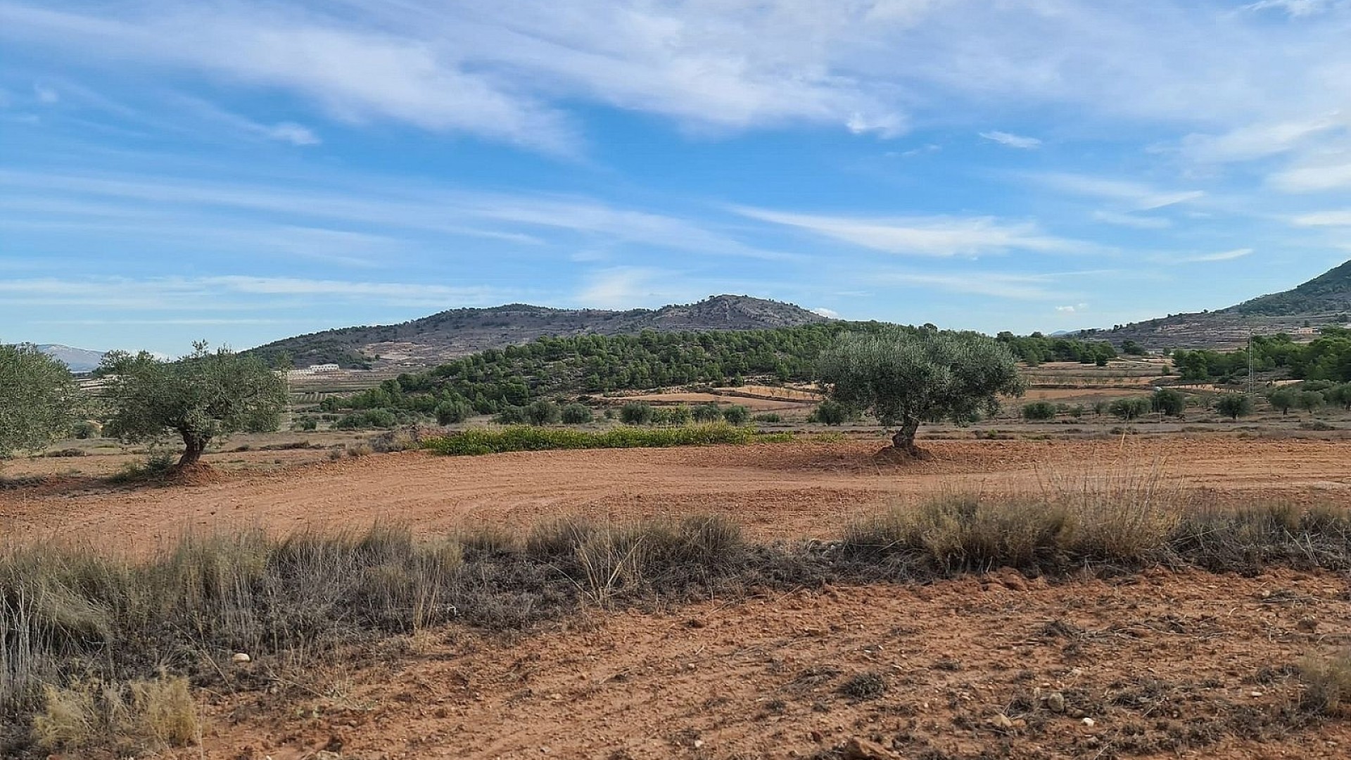 Revente - Parcelle Terrain -
Pinoso