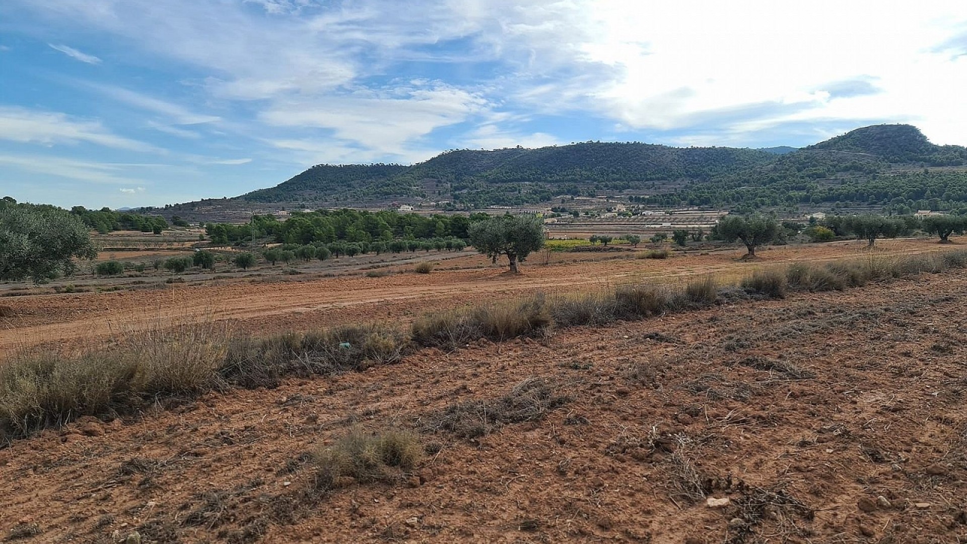 Revente - Parcelle Terrain -
Pinoso