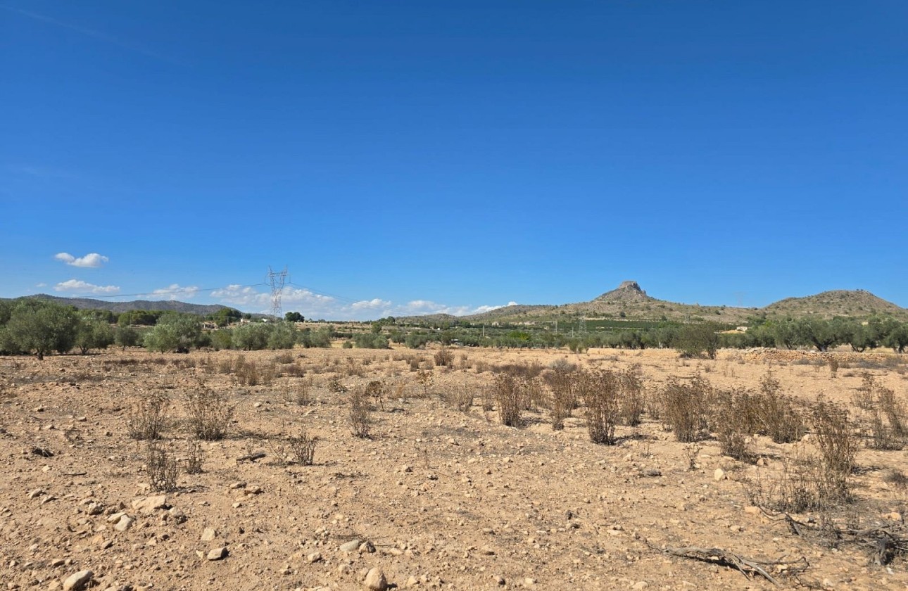 Revente - Parcelle Terrain -
Salinas