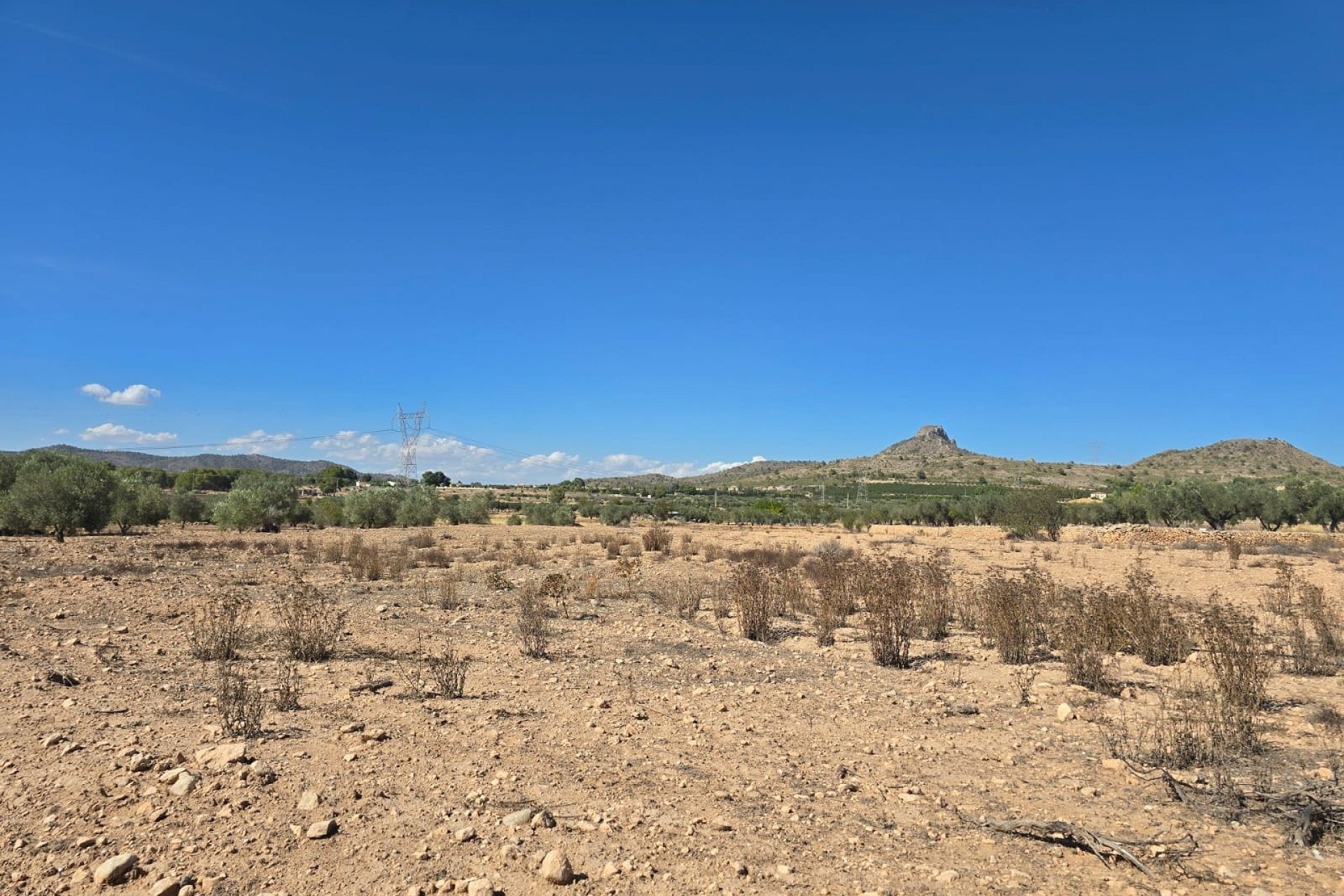 Revente - Parcelle Terrain -
Salinas