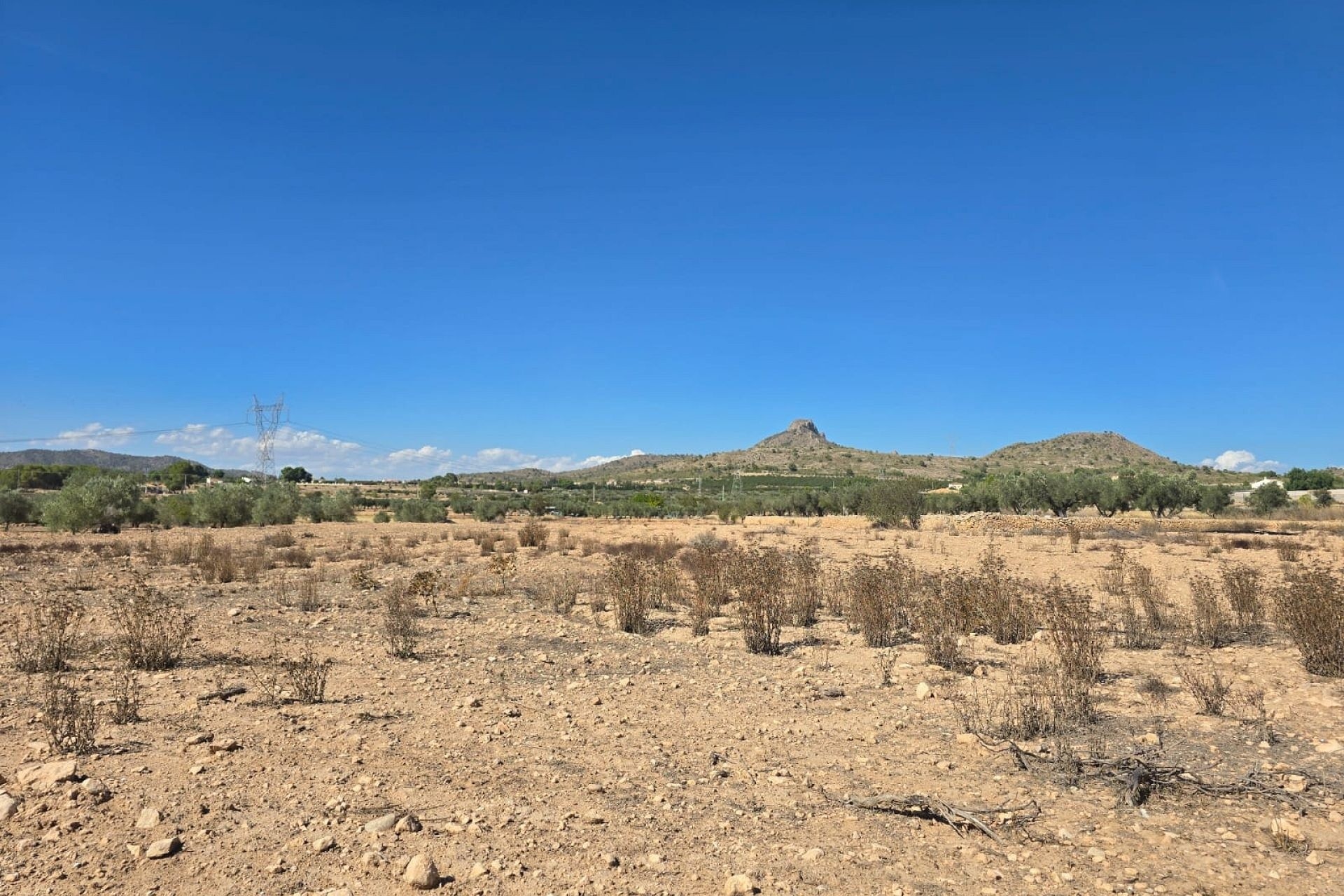 Revente - Parcelle Terrain -
Salinas