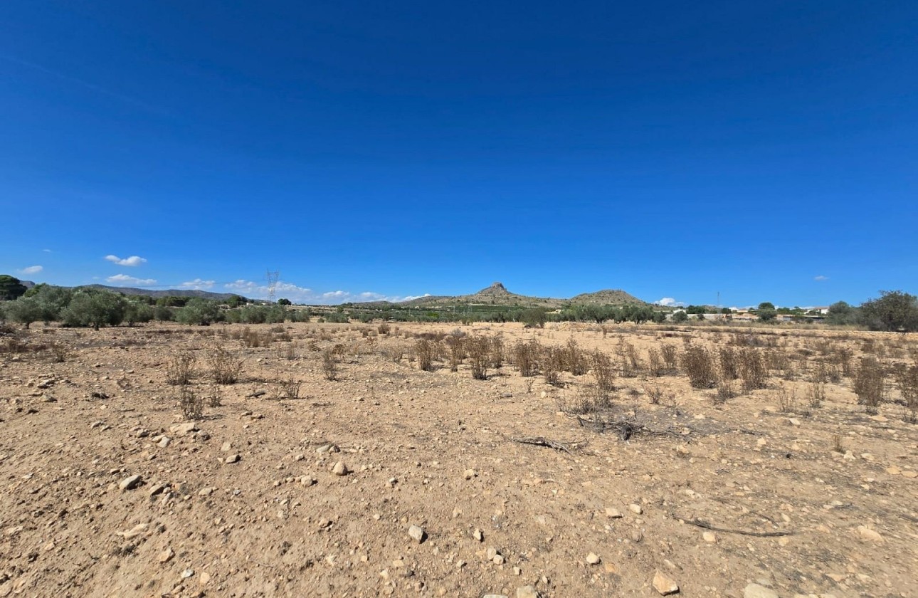 Revente - Parcelle Terrain -
Salinas