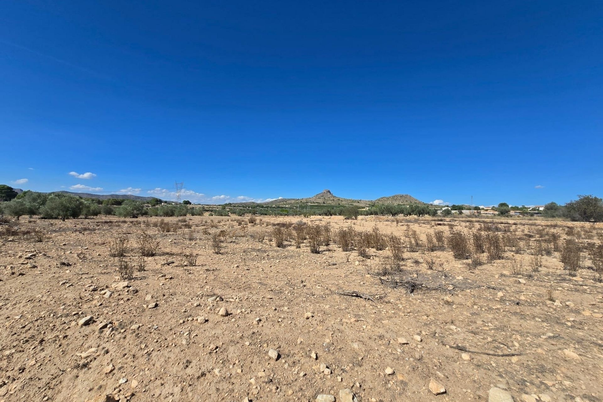 Revente - Parcelle Terrain -
Salinas