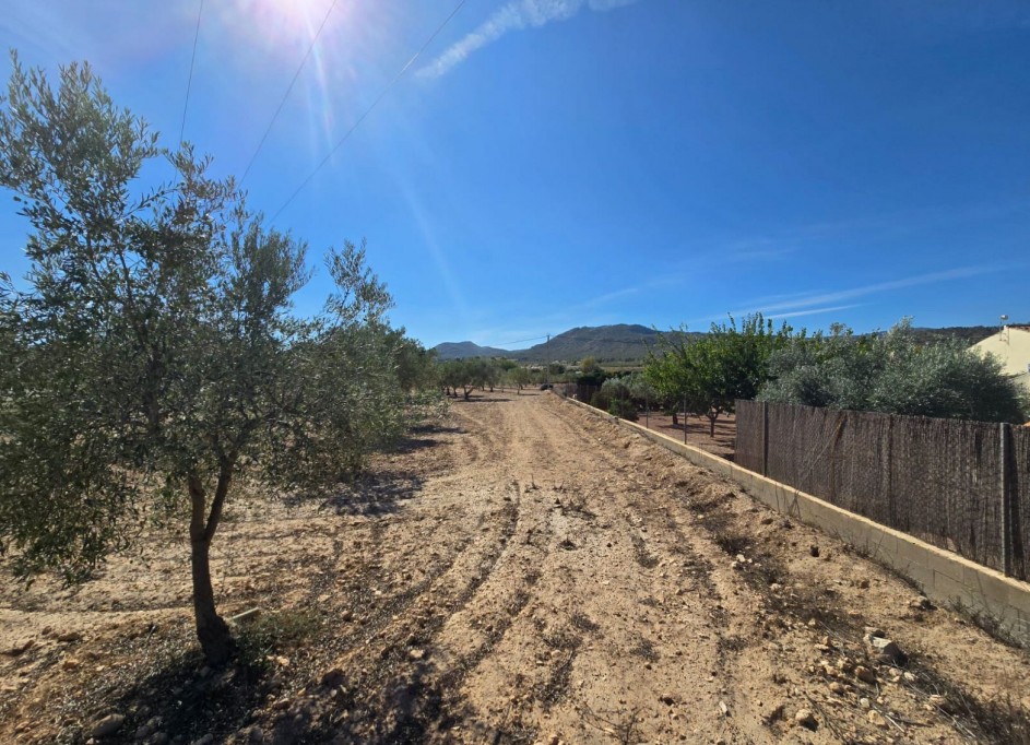 Revente - Parcelle Terrain -
Salinas