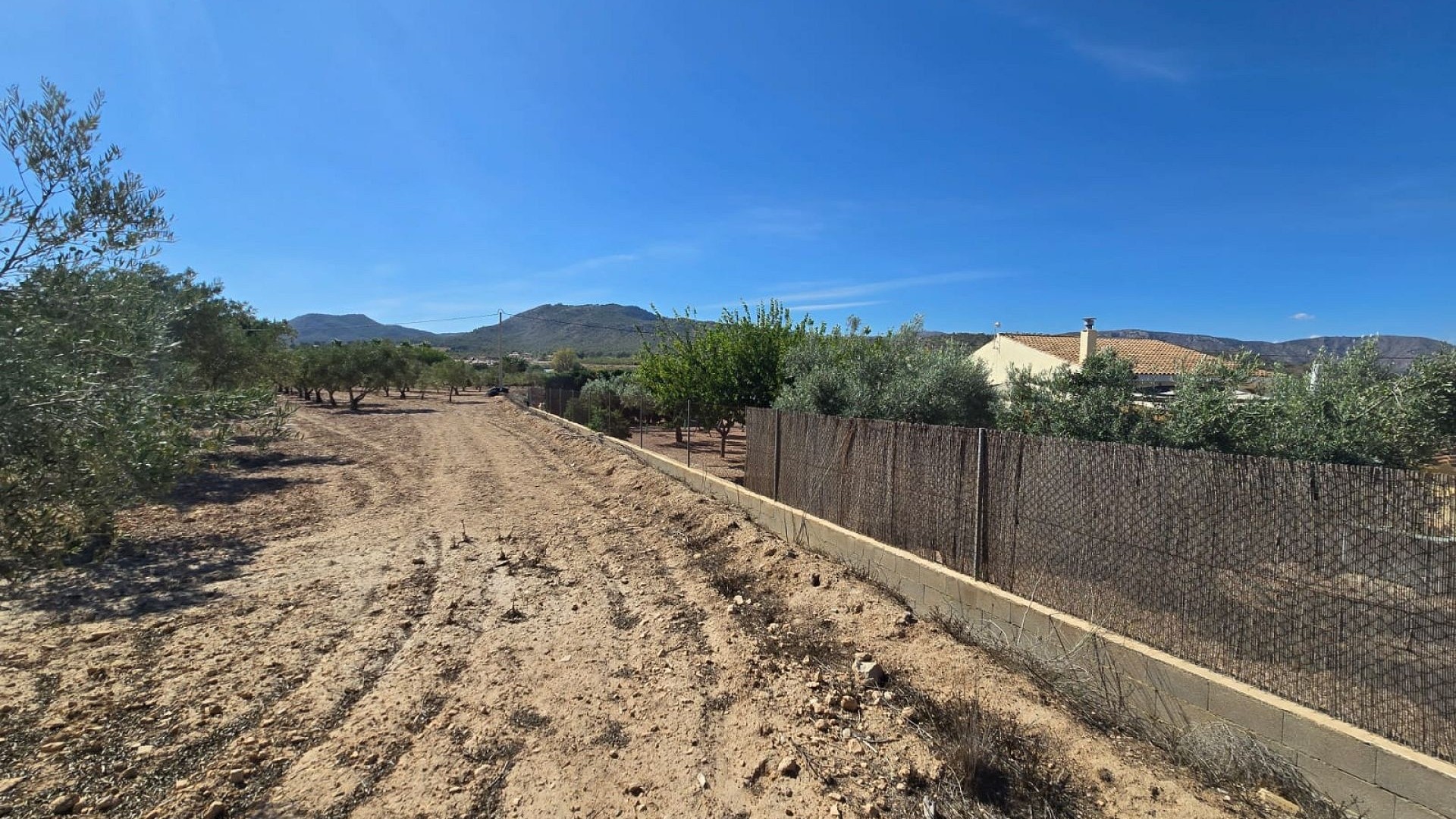 Revente - Parcelle Terrain -
Salinas