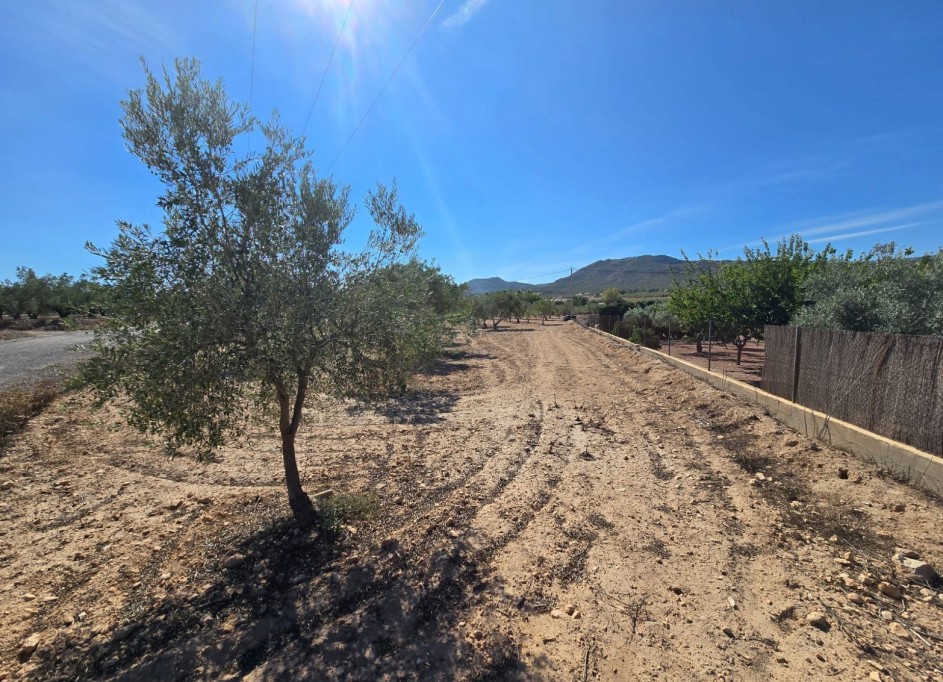 Revente - Parcelle Terrain -
Salinas