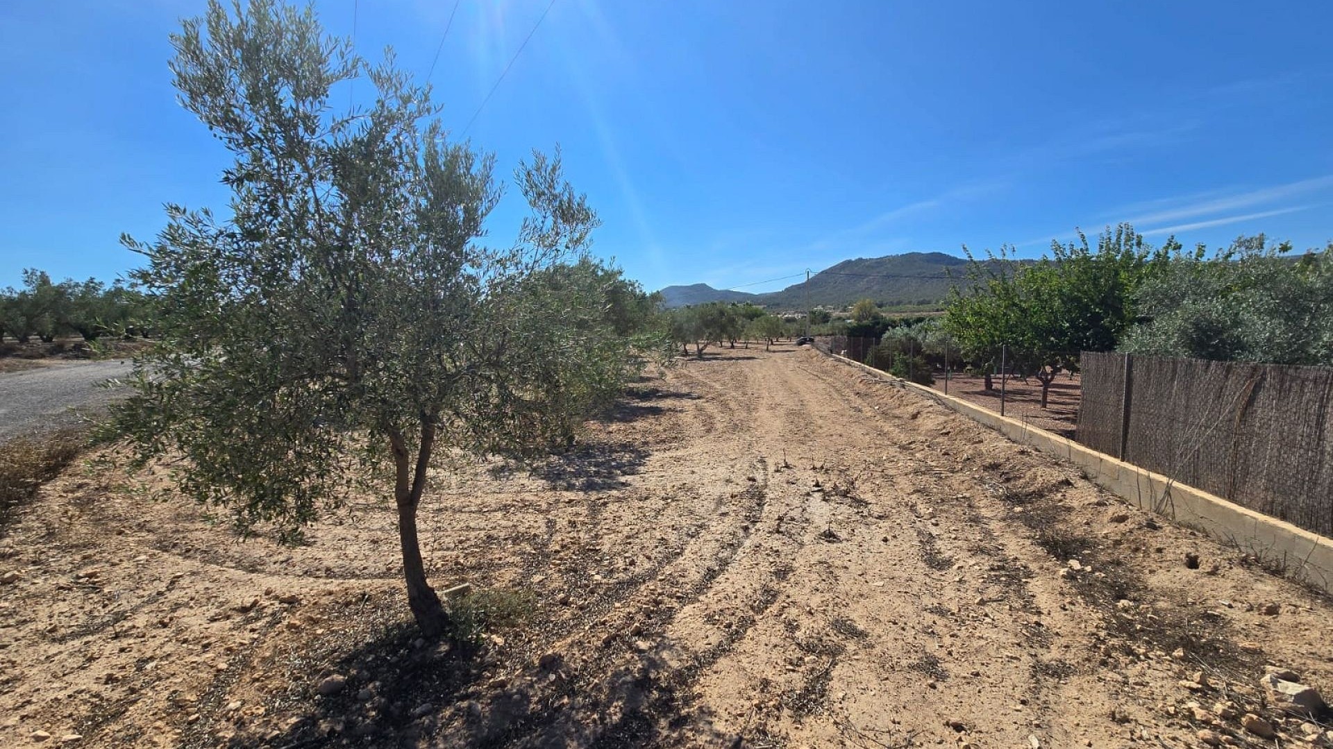 Revente - Parcelle Terrain -
Salinas