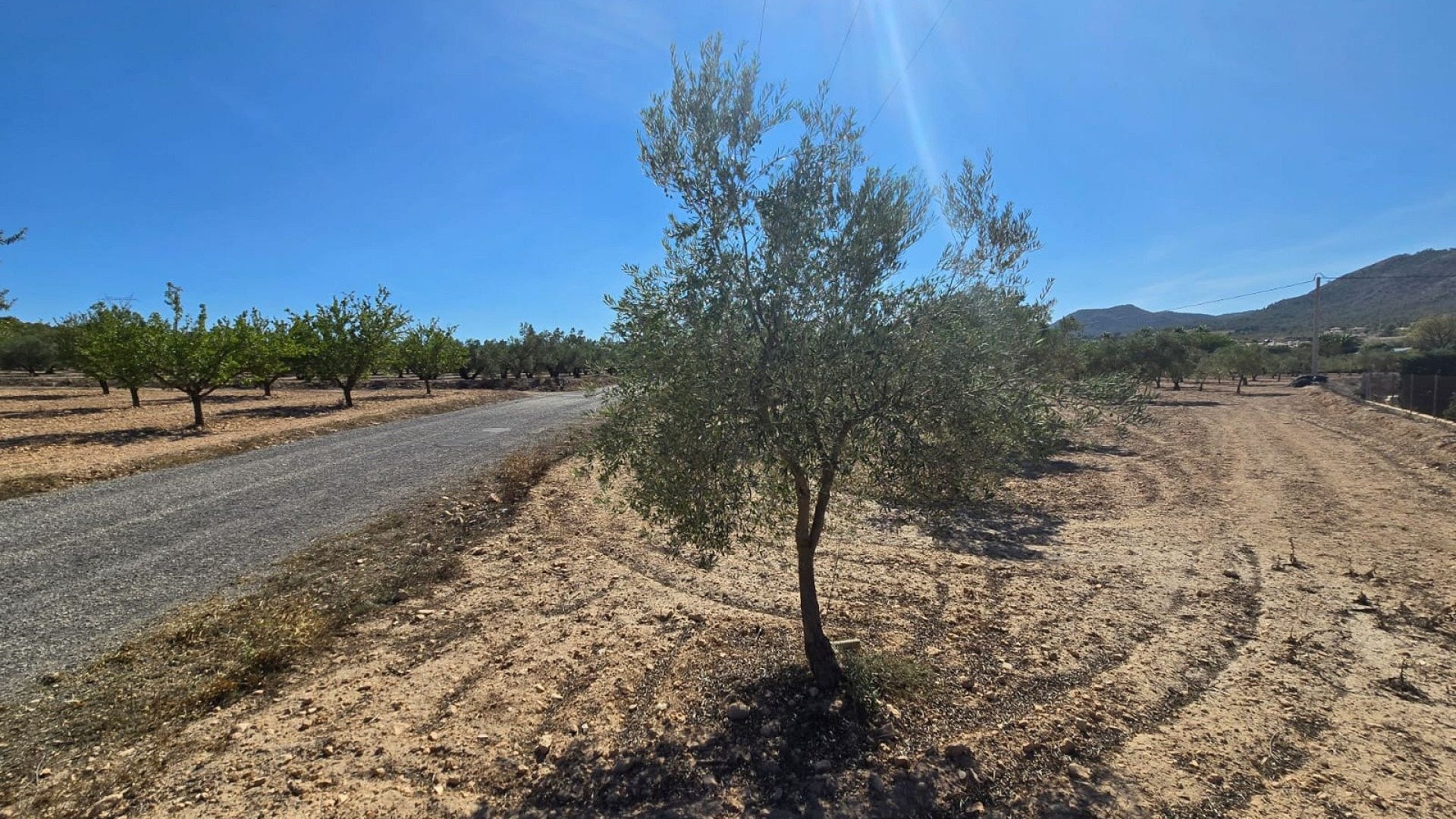 Revente - Parcelle Terrain -
Salinas