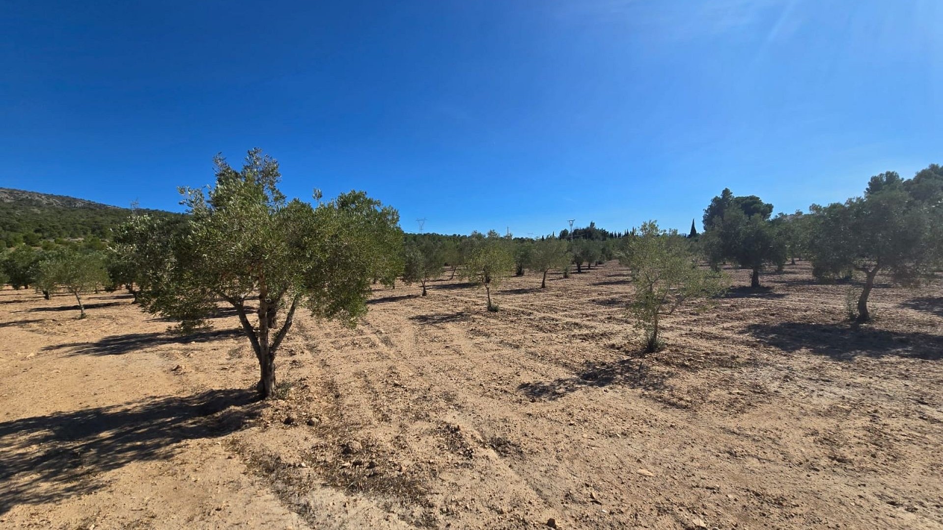 Revente - Parcelle Terrain -
Salinas