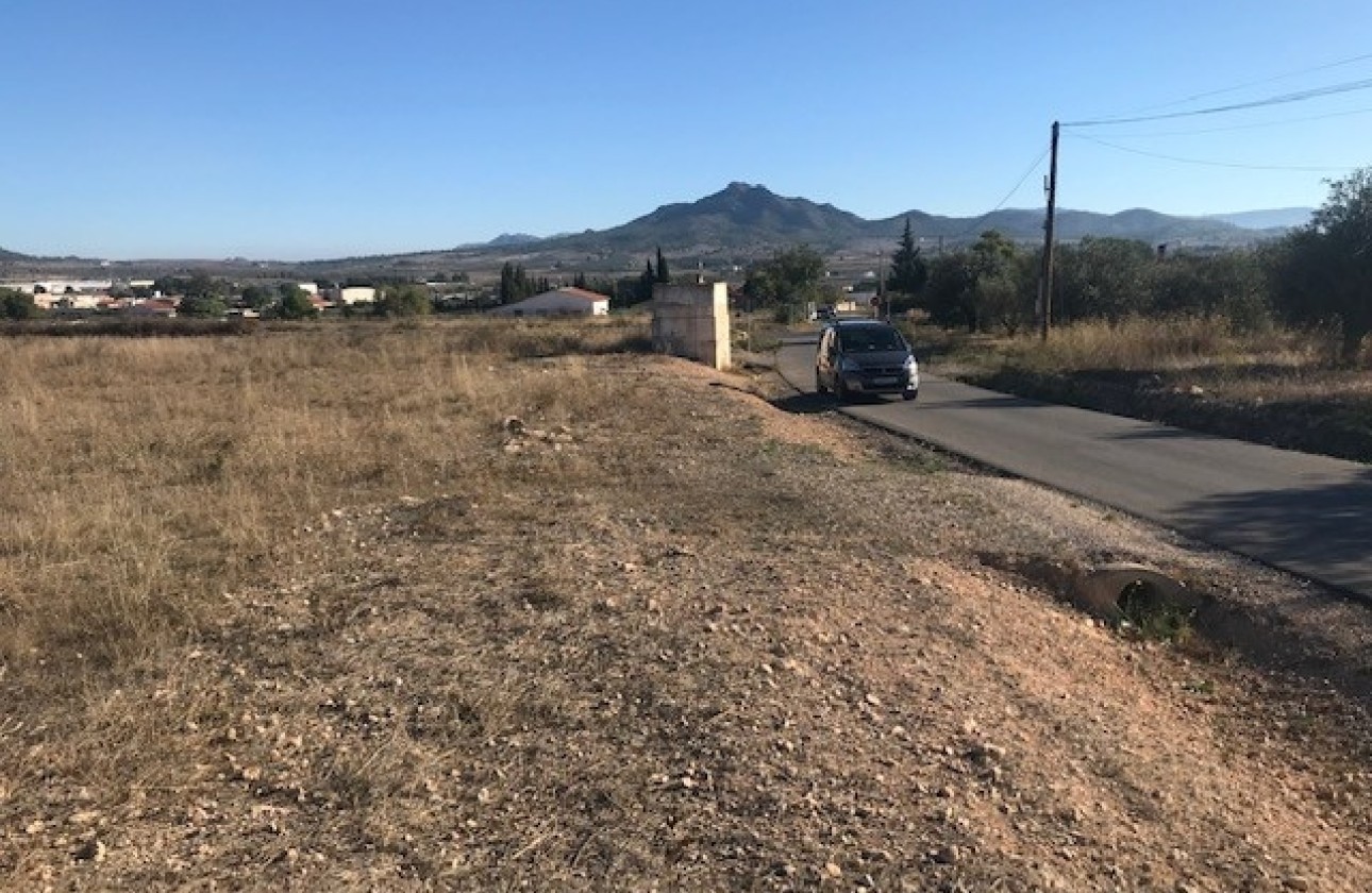 Revente - Parcelle Terrain -
Salinas