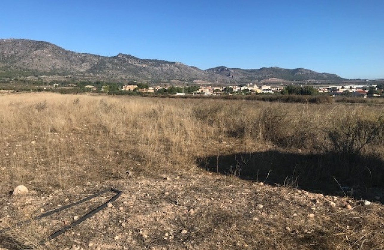 Revente - Parcelle Terrain -
Salinas