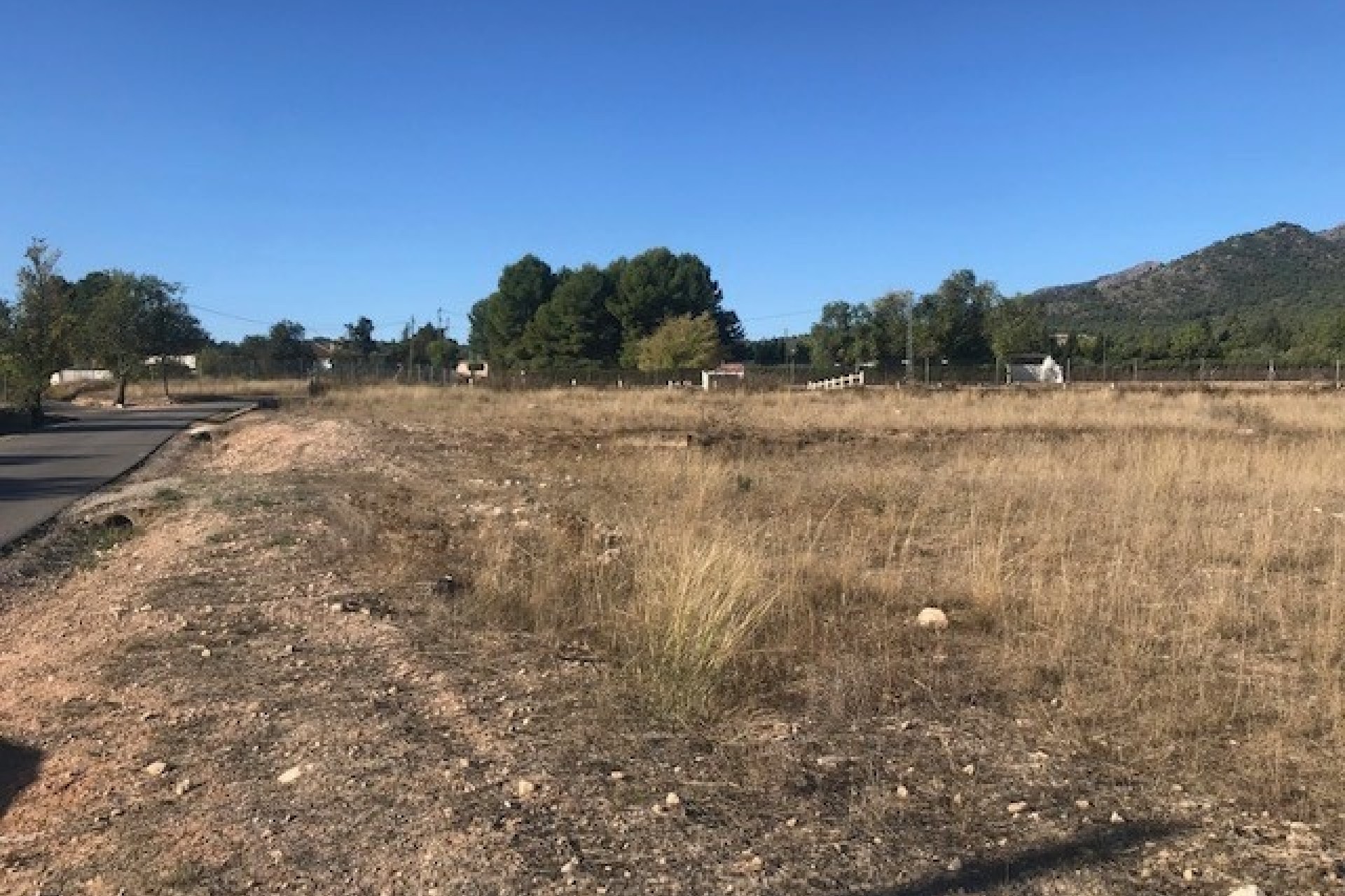 Revente - Parcelle Terrain -
Salinas