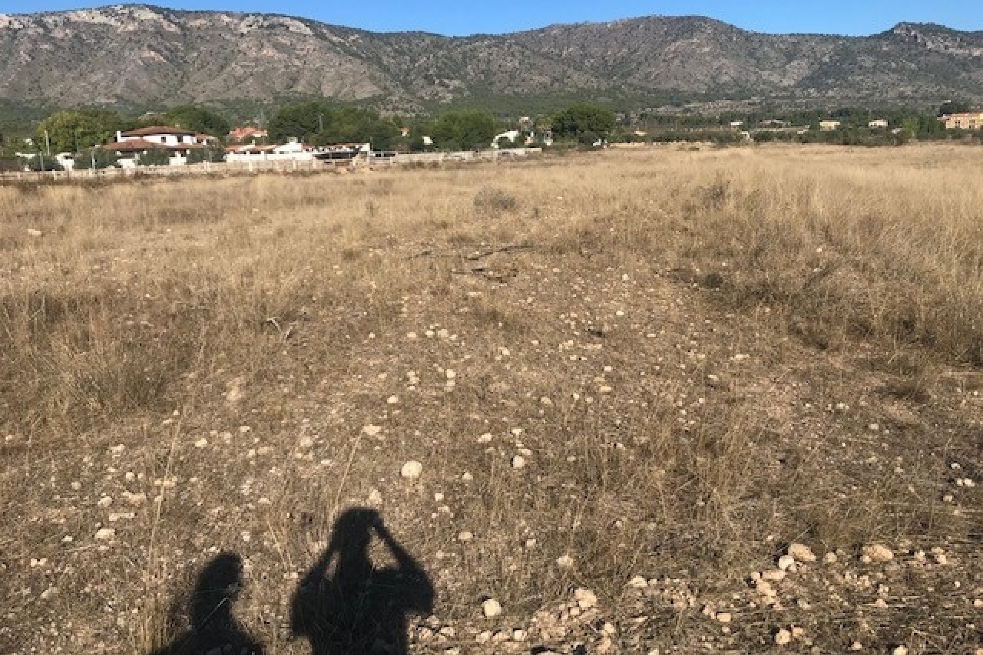 Revente - Parcelle Terrain -
Salinas