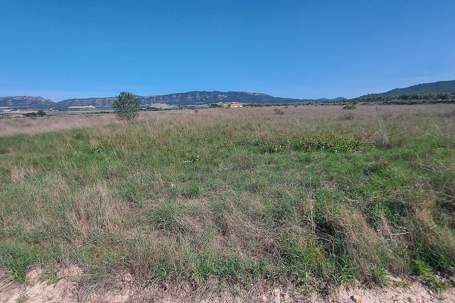 Revente - Parcelle Terrain -
Salinas