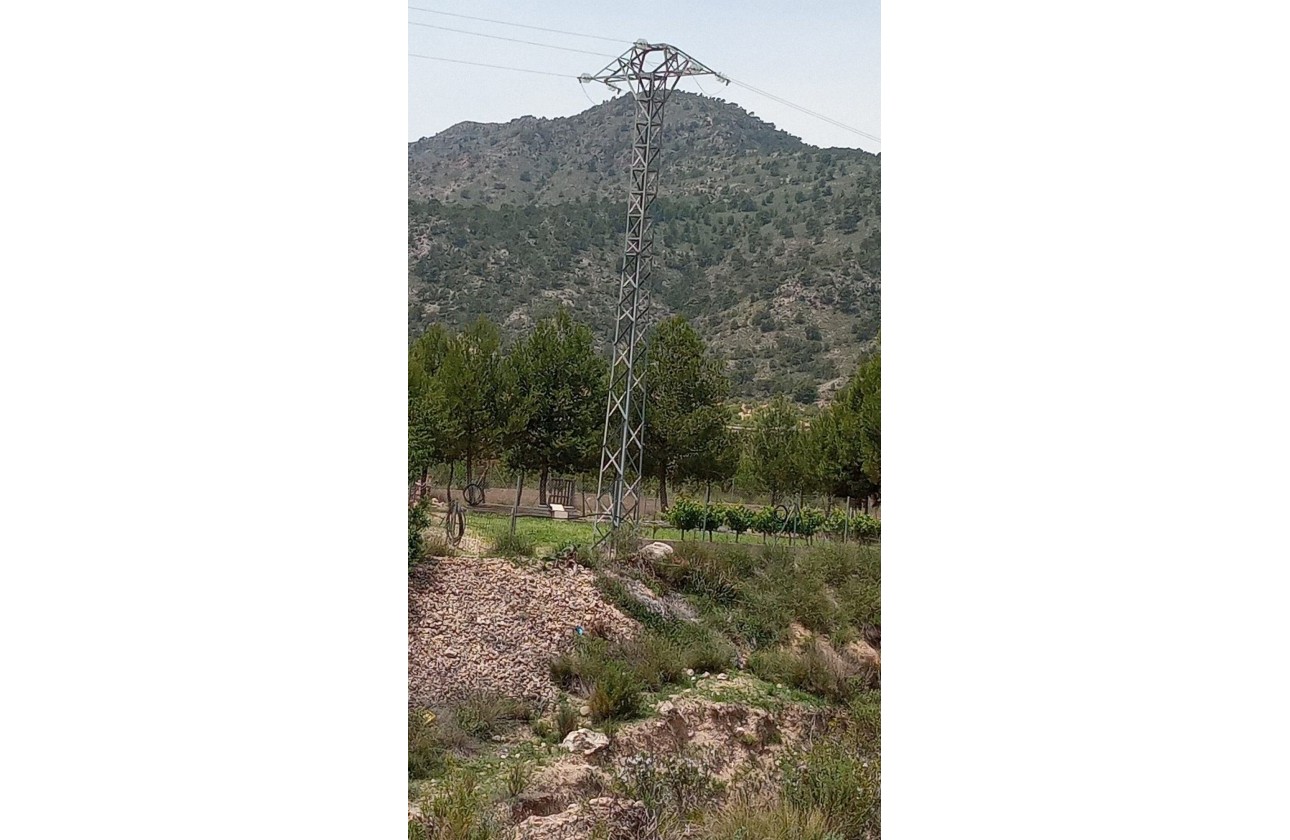 Revente - Parcelle Terrain -
Salinas