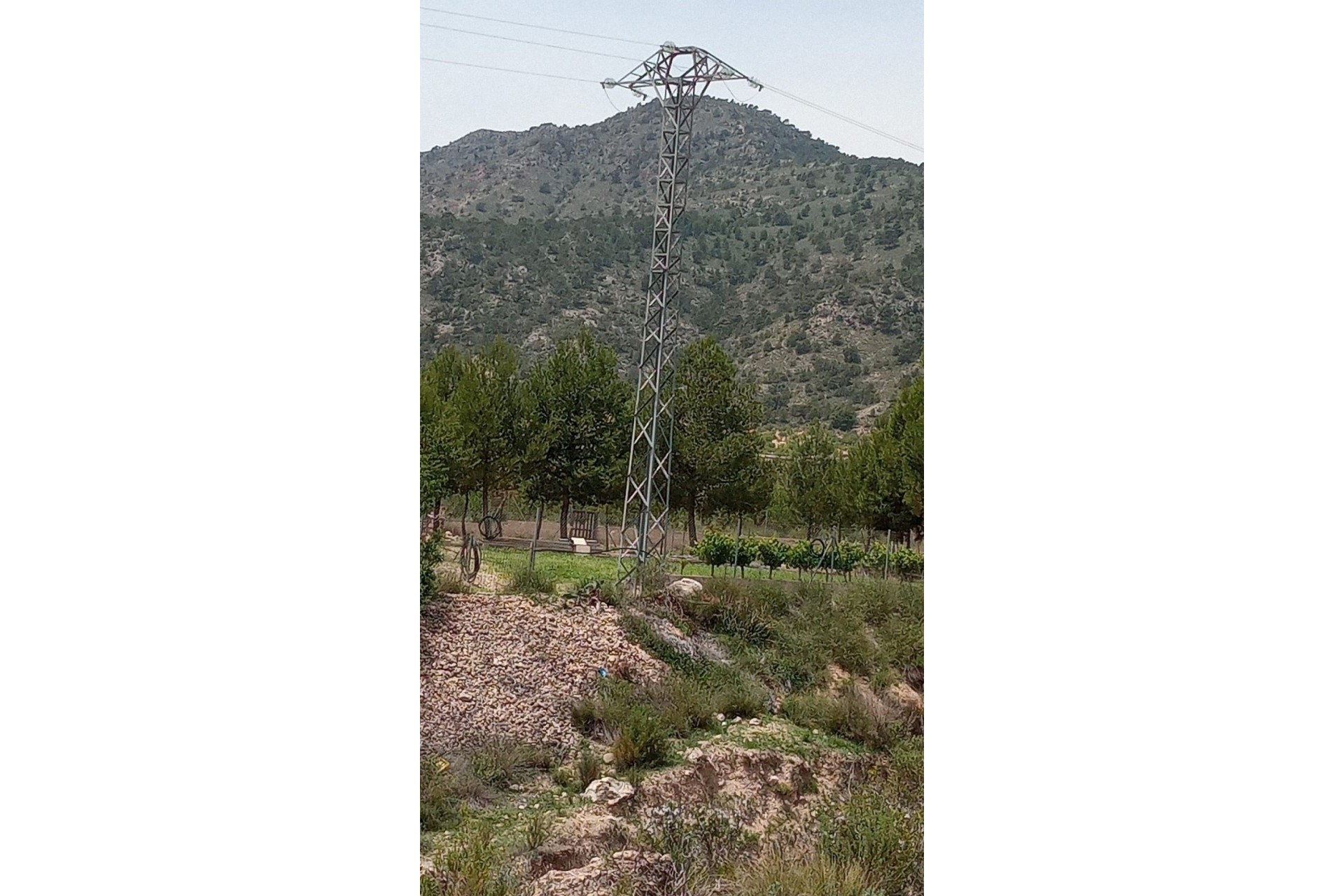 Revente - Parcelle Terrain -
Salinas