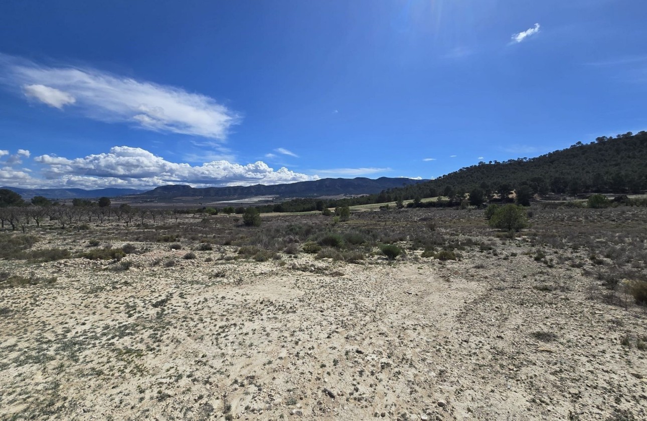 Revente - Parcelle Terrain -
Salinas