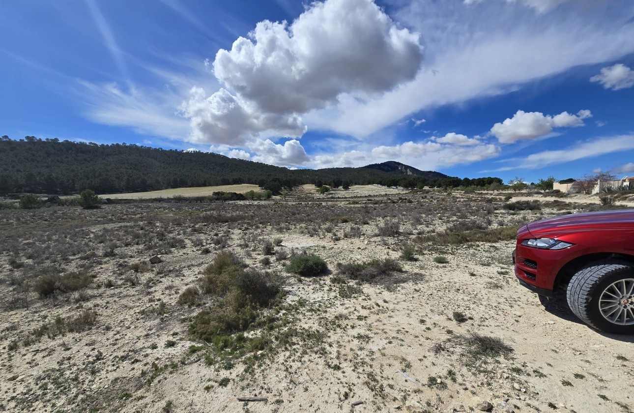 Revente - Parcelle Terrain -
Salinas