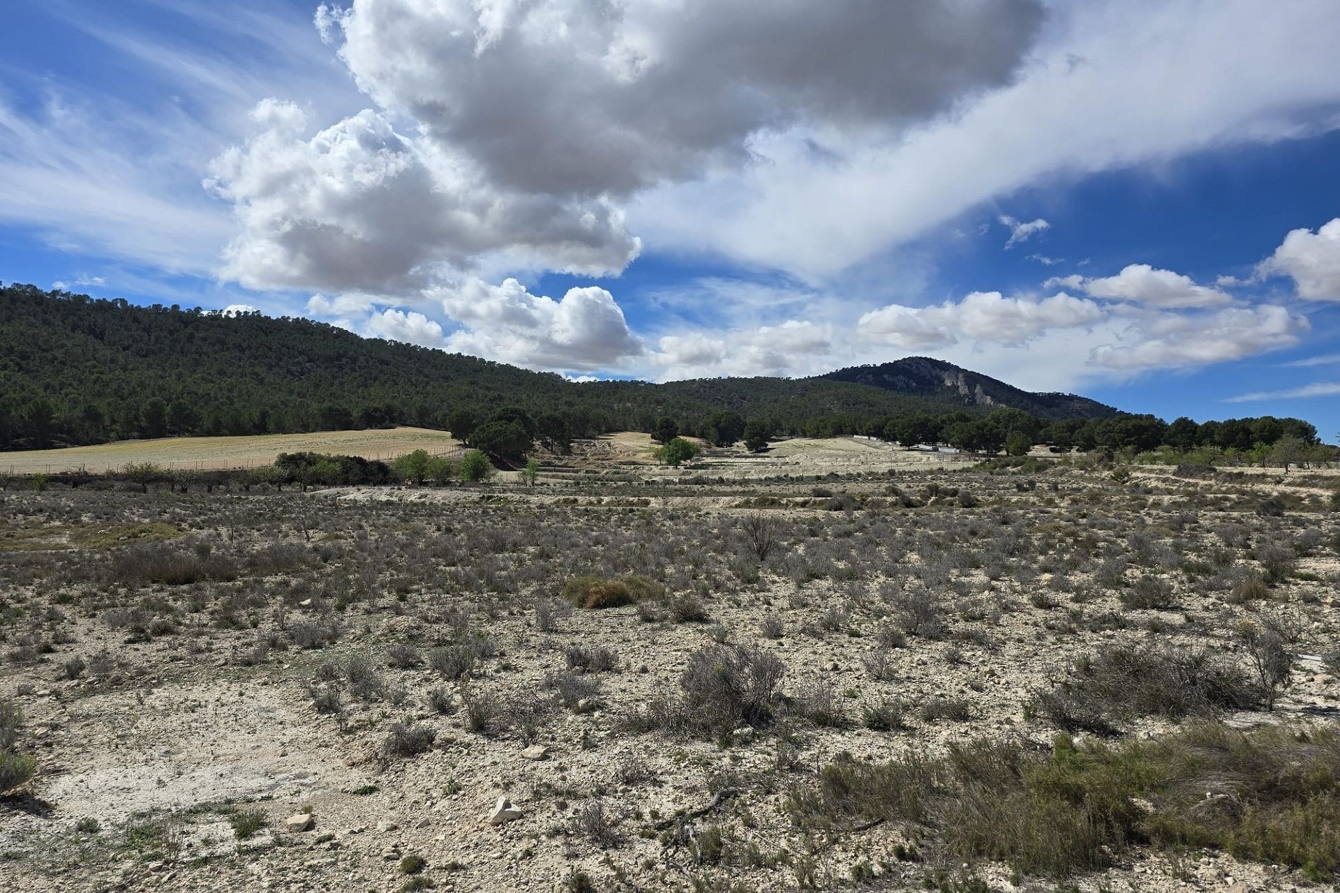 Revente - Parcelle Terrain -
Salinas