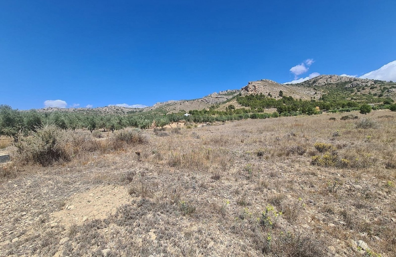 Revente - Parcelle Terrain -
SAX