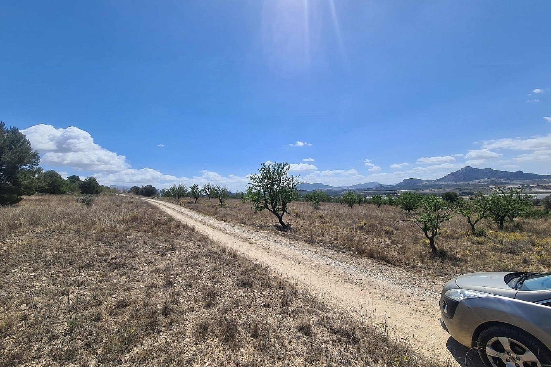 Revente - Parcelle Terrain -
SAX