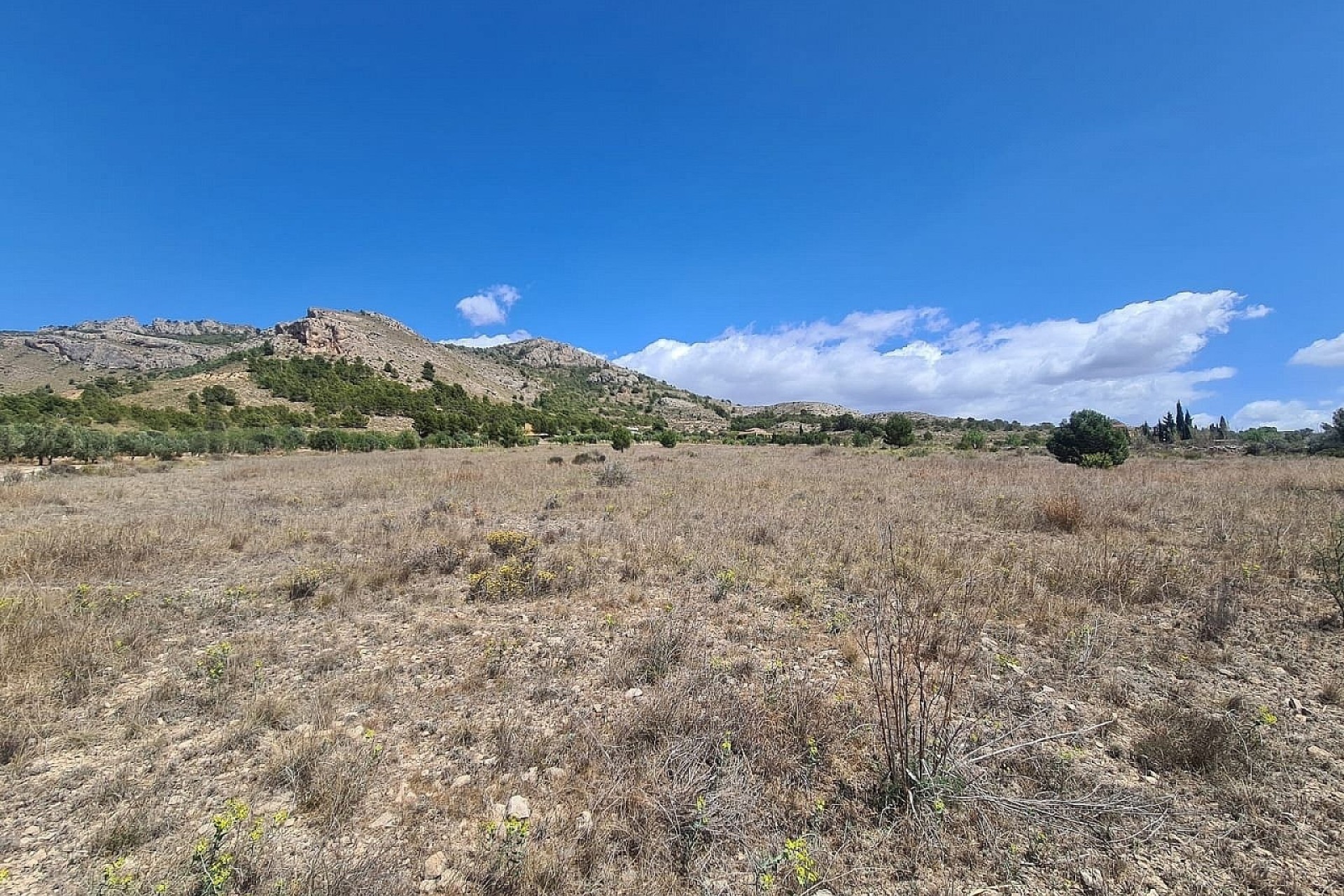 Revente - Parcelle Terrain -
SAX