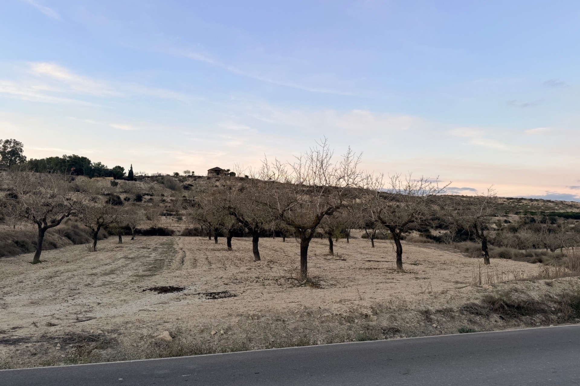 Revente - Parcelle / Terrain -
Torremendo - Costa Blanca