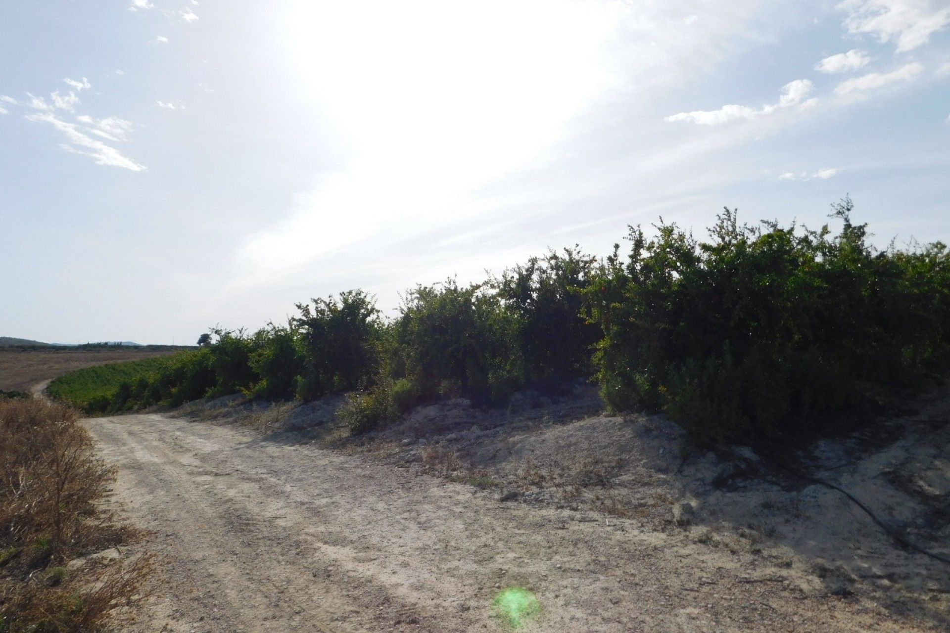 Revente - Parcelle Terrain -
Torremendo