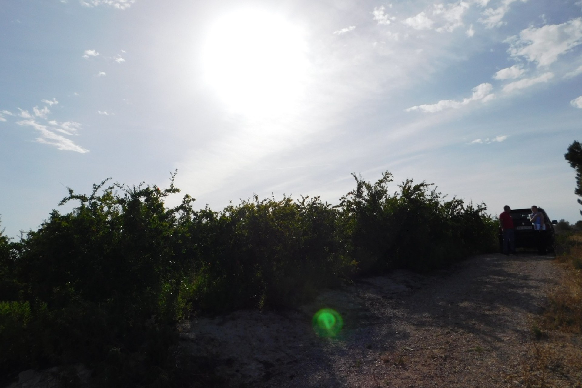 Revente - Parcelle Terrain -
Torremendo