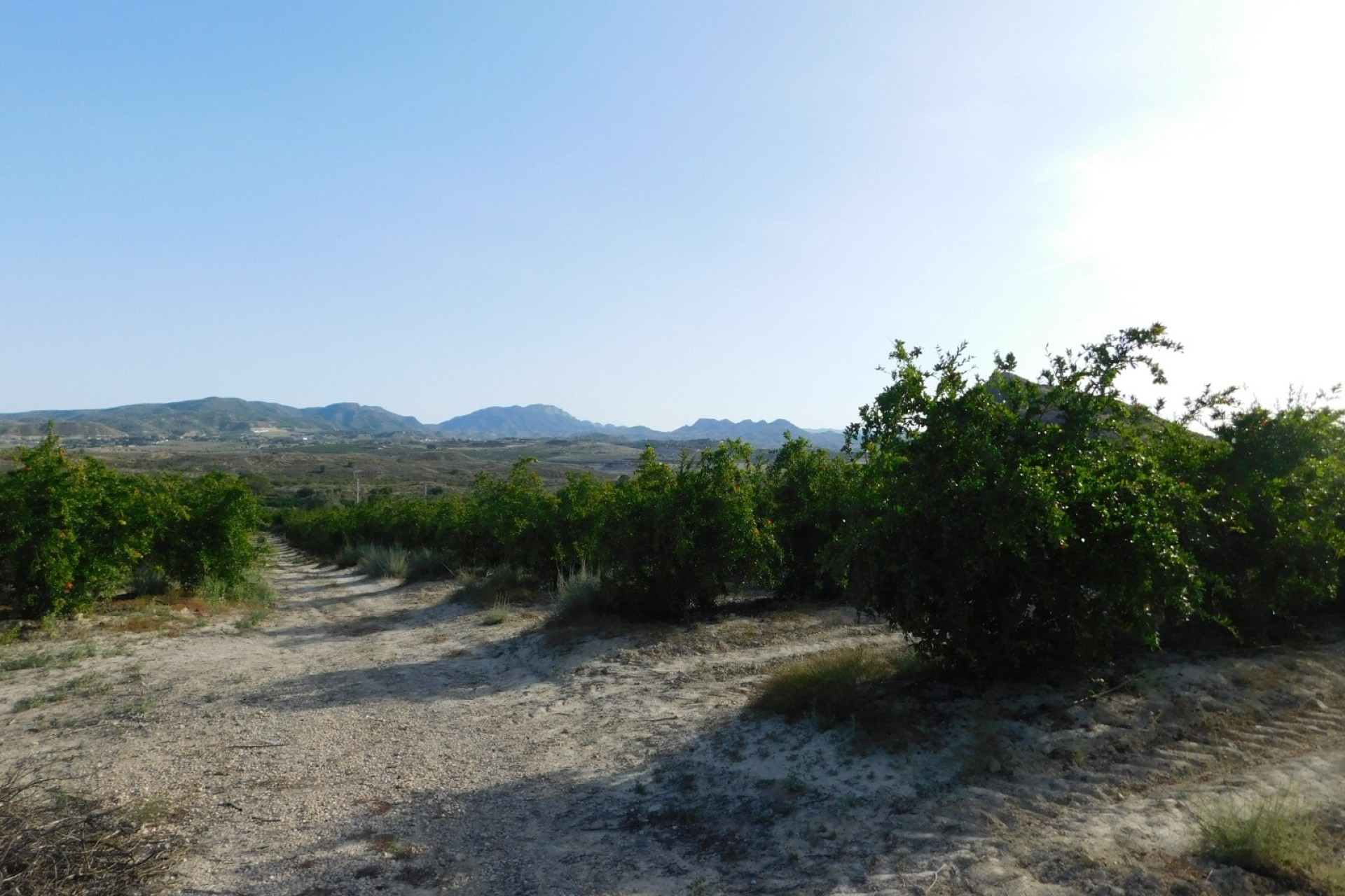 Revente - Parcelle Terrain -
Torremendo